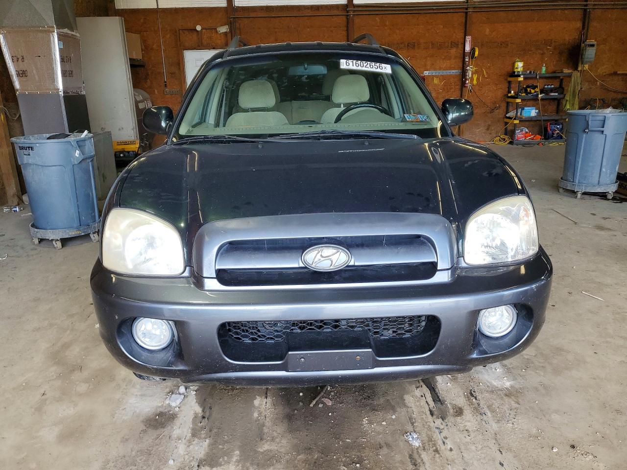 2006 Hyundai Santa Fe Green vin: KM8SC13D16U111383