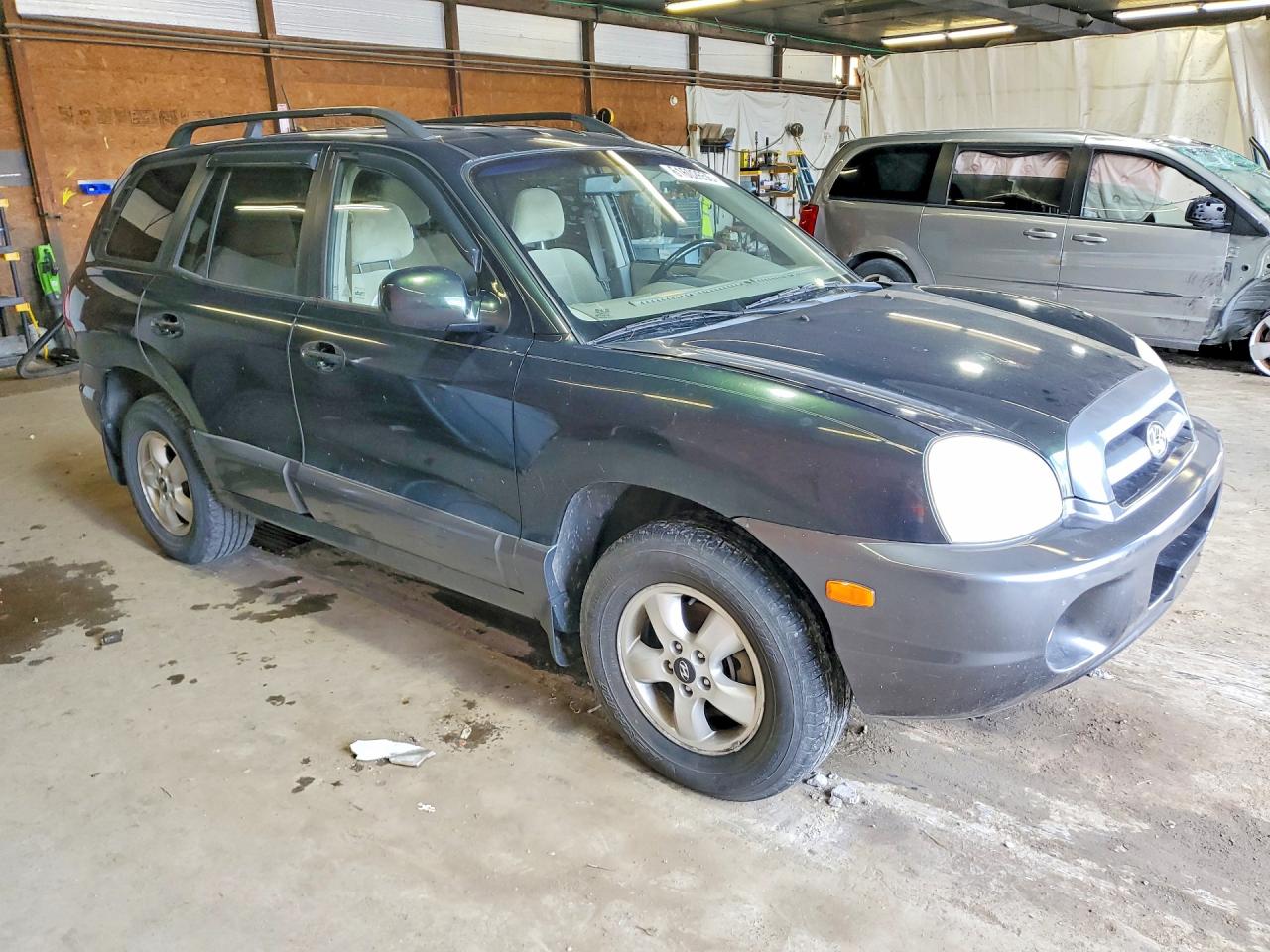 2006 Hyundai Santa Fe Green vin: KM8SC13D16U111383