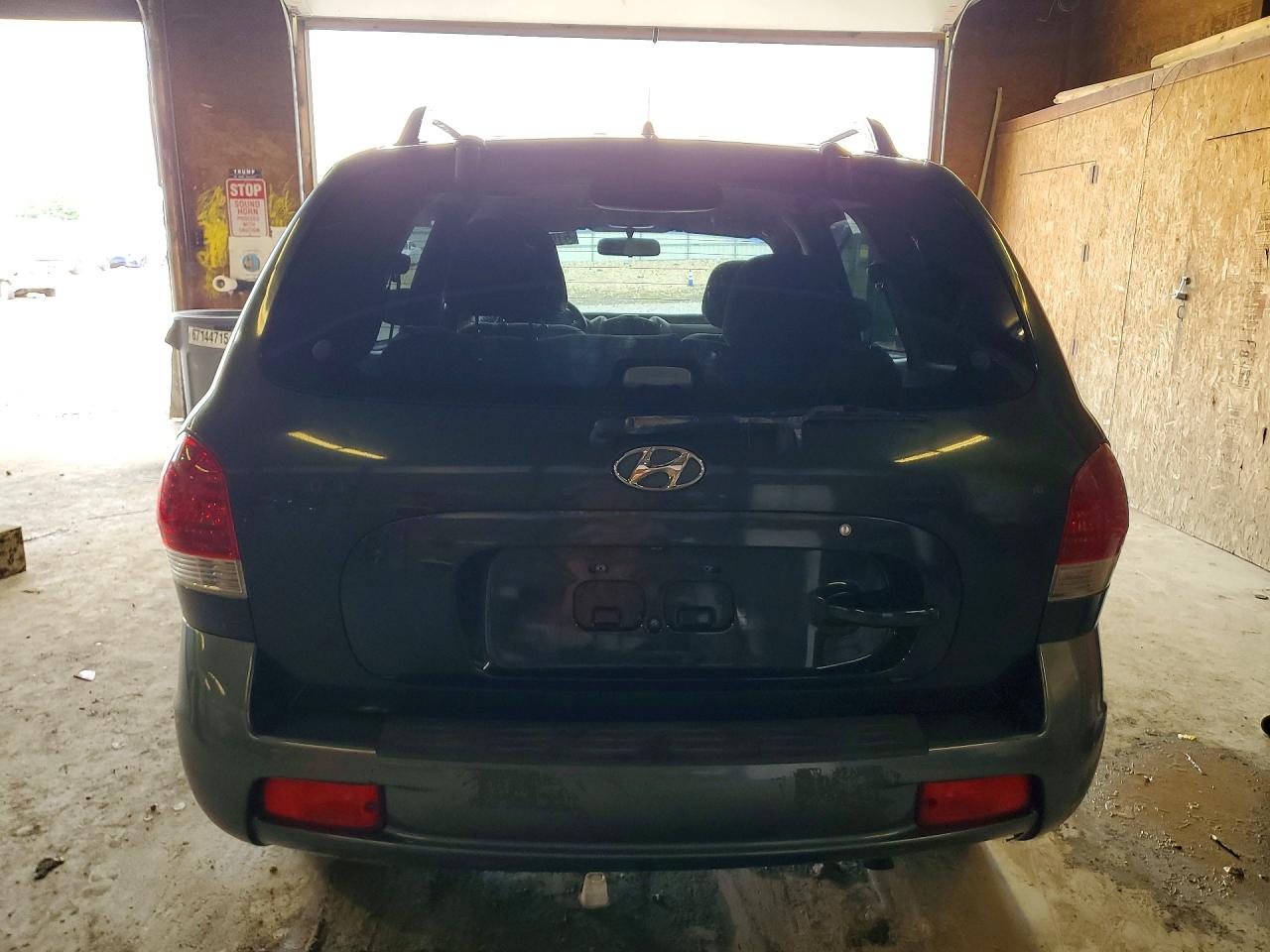 2006 Hyundai Santa Fe Green vin: KM8SC13D16U111383