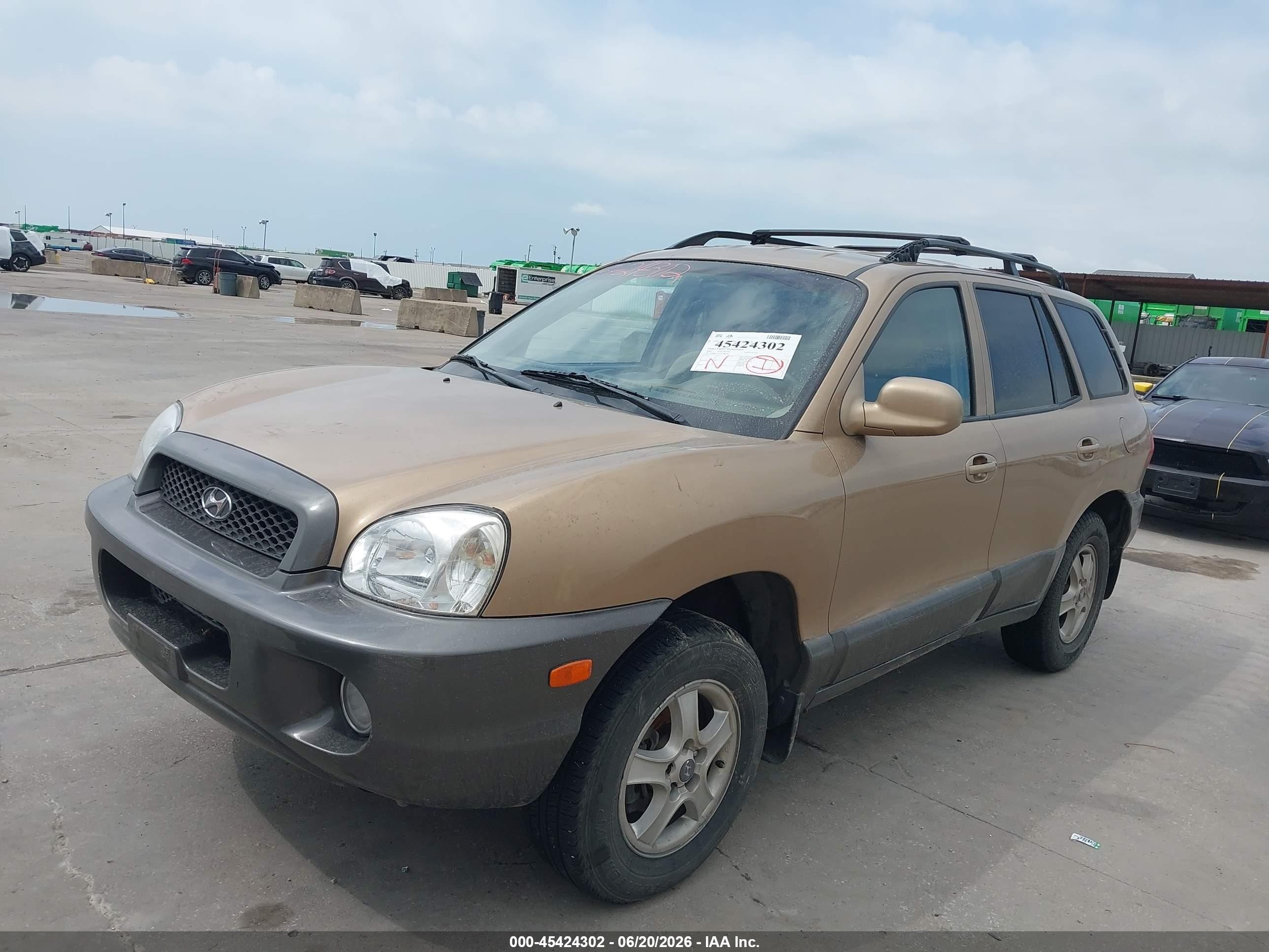 2002 Hyundai Santa Fe Gls/lx Gold vin: KM8SC13D22U200356