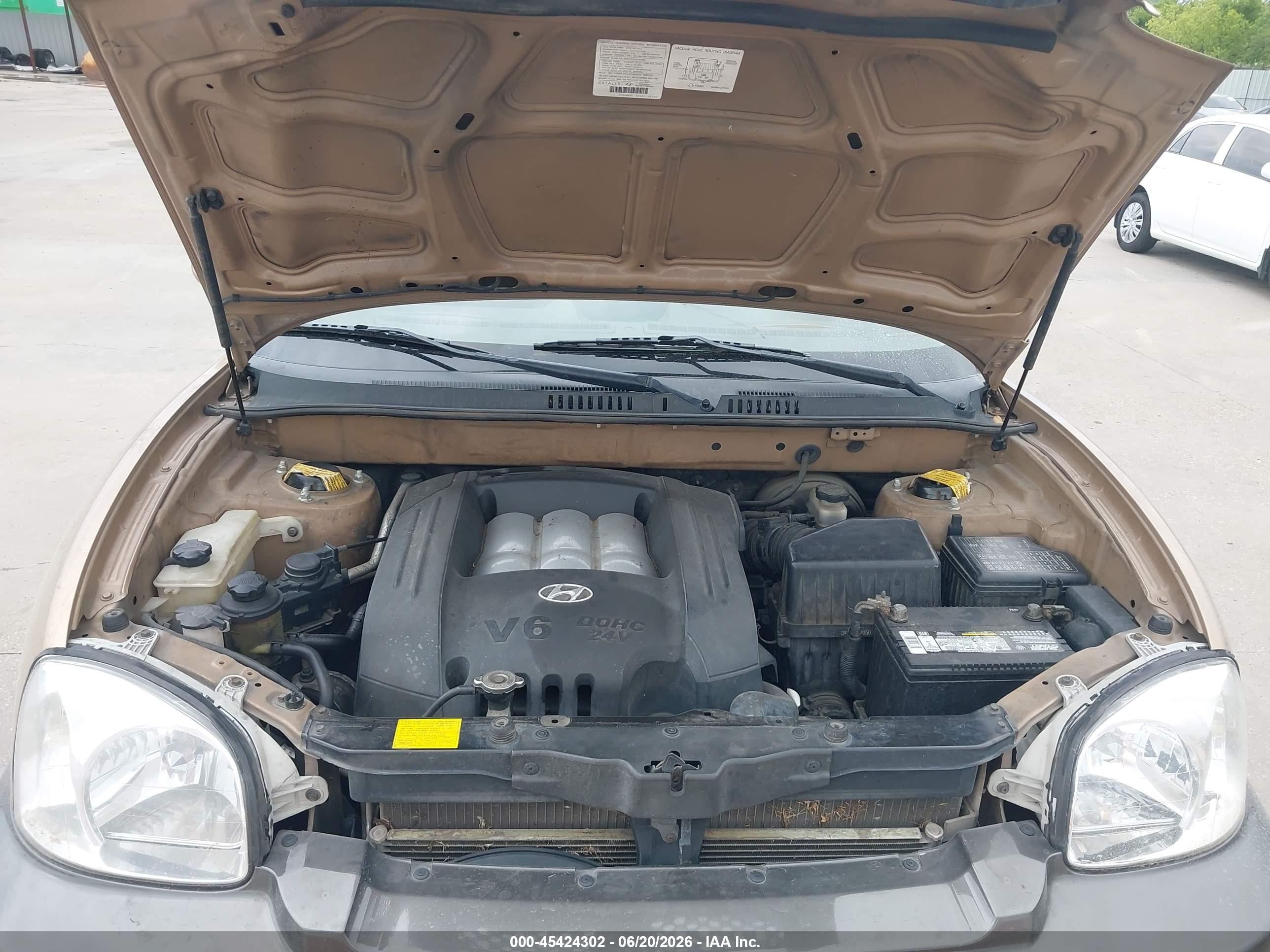 2002 Hyundai Santa Fe Gls/lx Gold vin: KM8SC13D22U200356