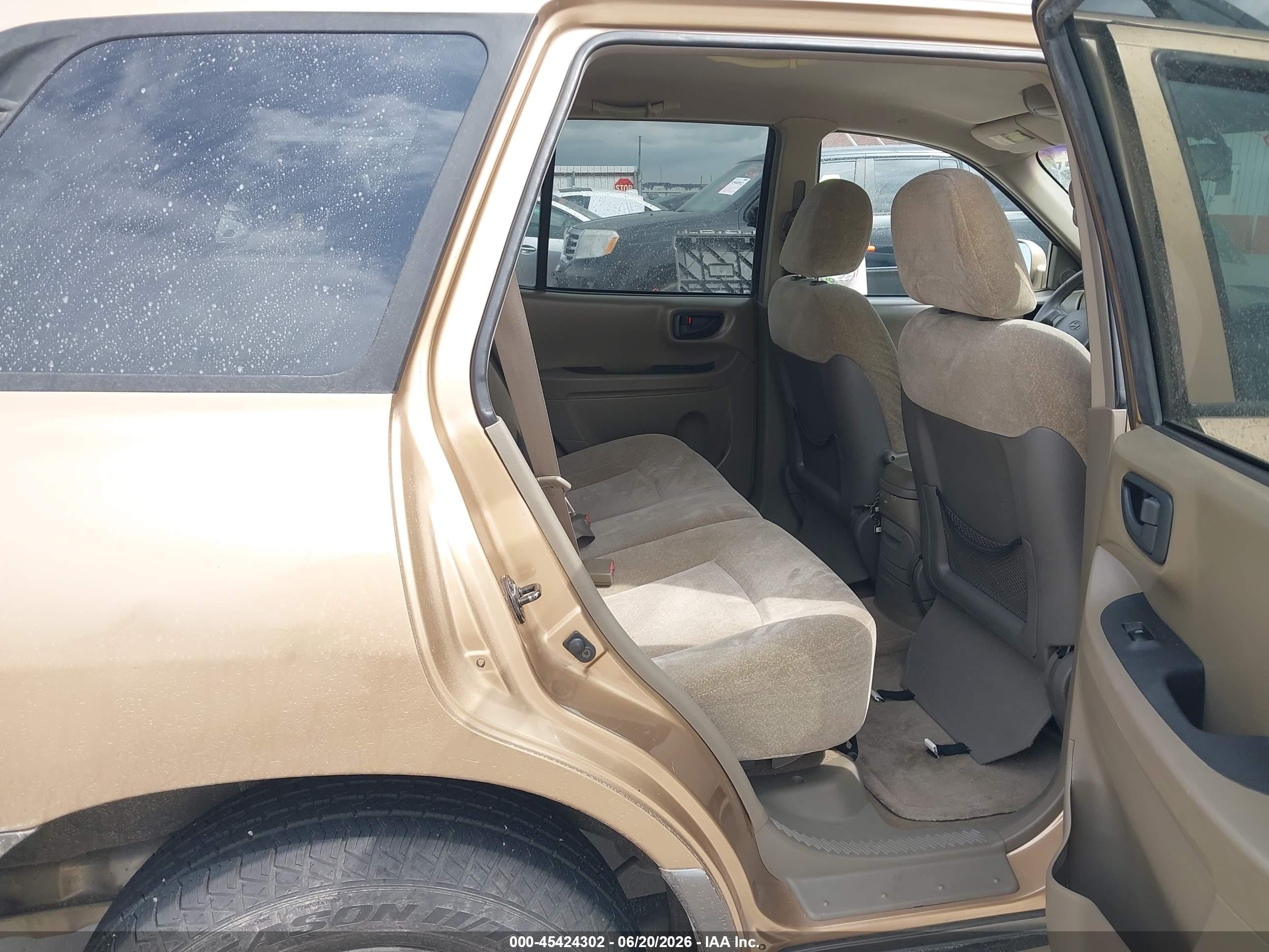 2002 Hyundai Santa Fe Gls/lx Gold vin: KM8SC13D22U200356