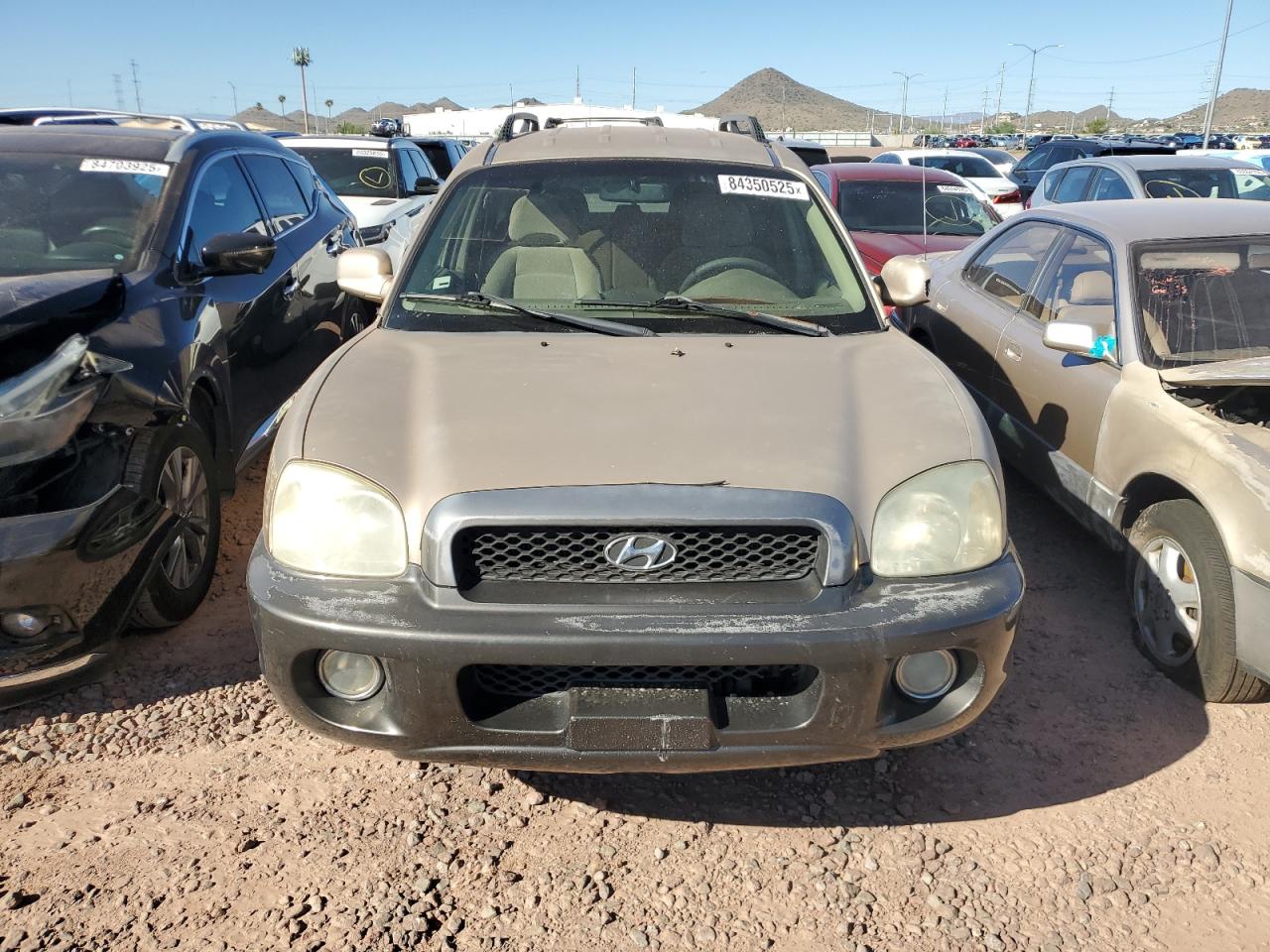 2002 Hyundai Santa Fe Gls Tan vin: KM8SC13D22U243157