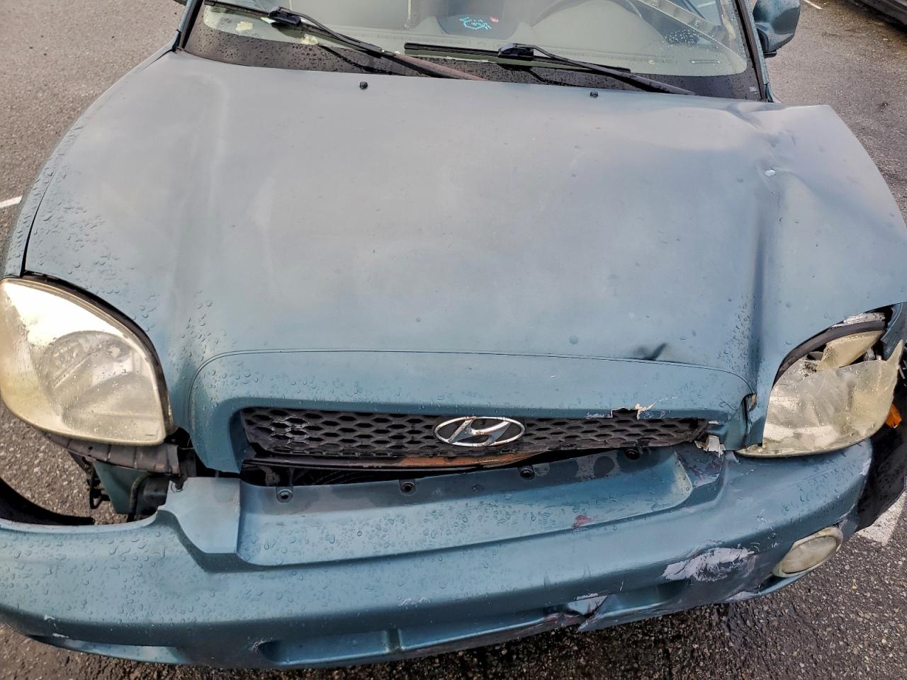 2002 Hyundai Santa Fe Gls Teal vin: KM8SC13D32U147358