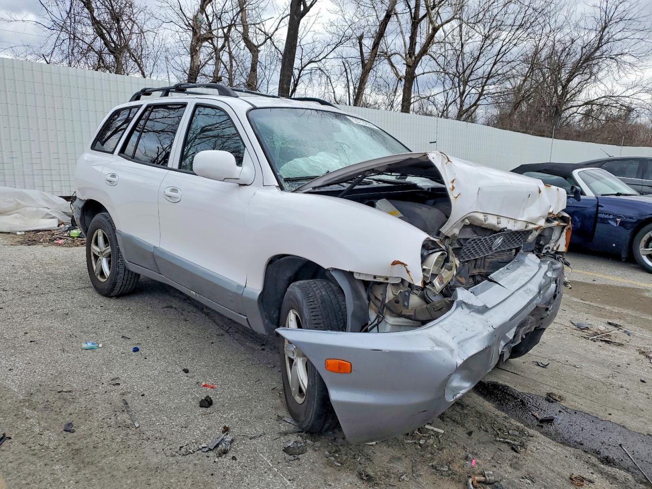 2004 Hyundai Santa Fe Gls White vin: KM8SC13D34U841597