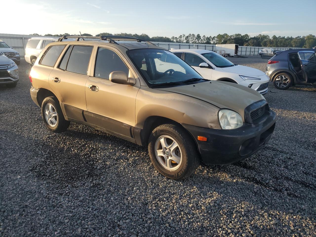 2004 Hyundai Santa Fe Gls Gold vin: KM8SC13D44U842807
