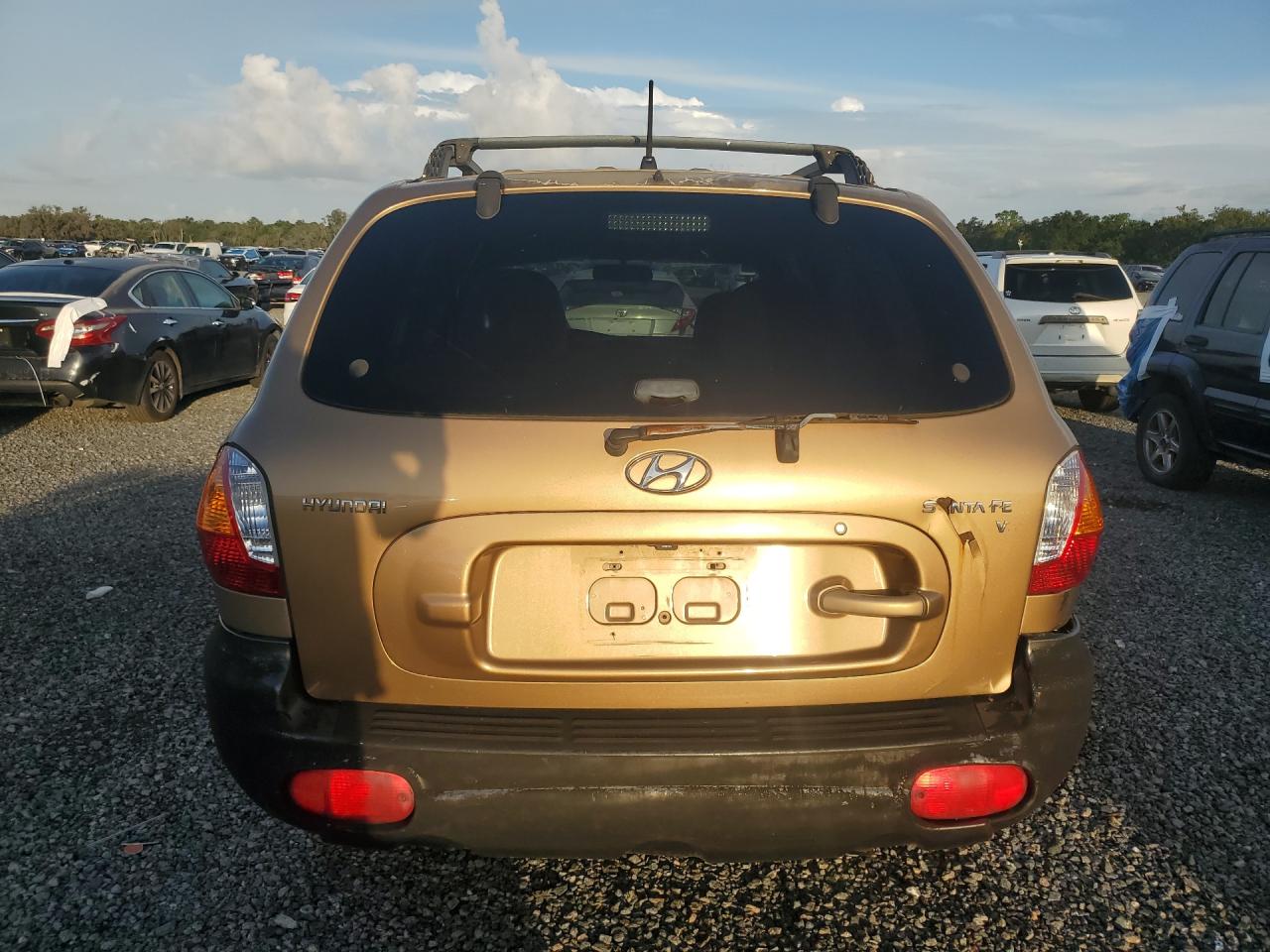 2004 Hyundai Santa Fe Gls Gold vin: KM8SC13D44U842807