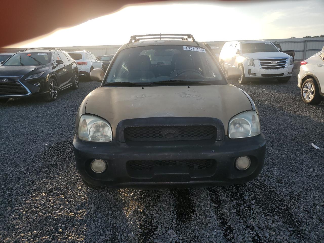 2004 Hyundai Santa Fe Gls Gold vin: KM8SC13D44U842807