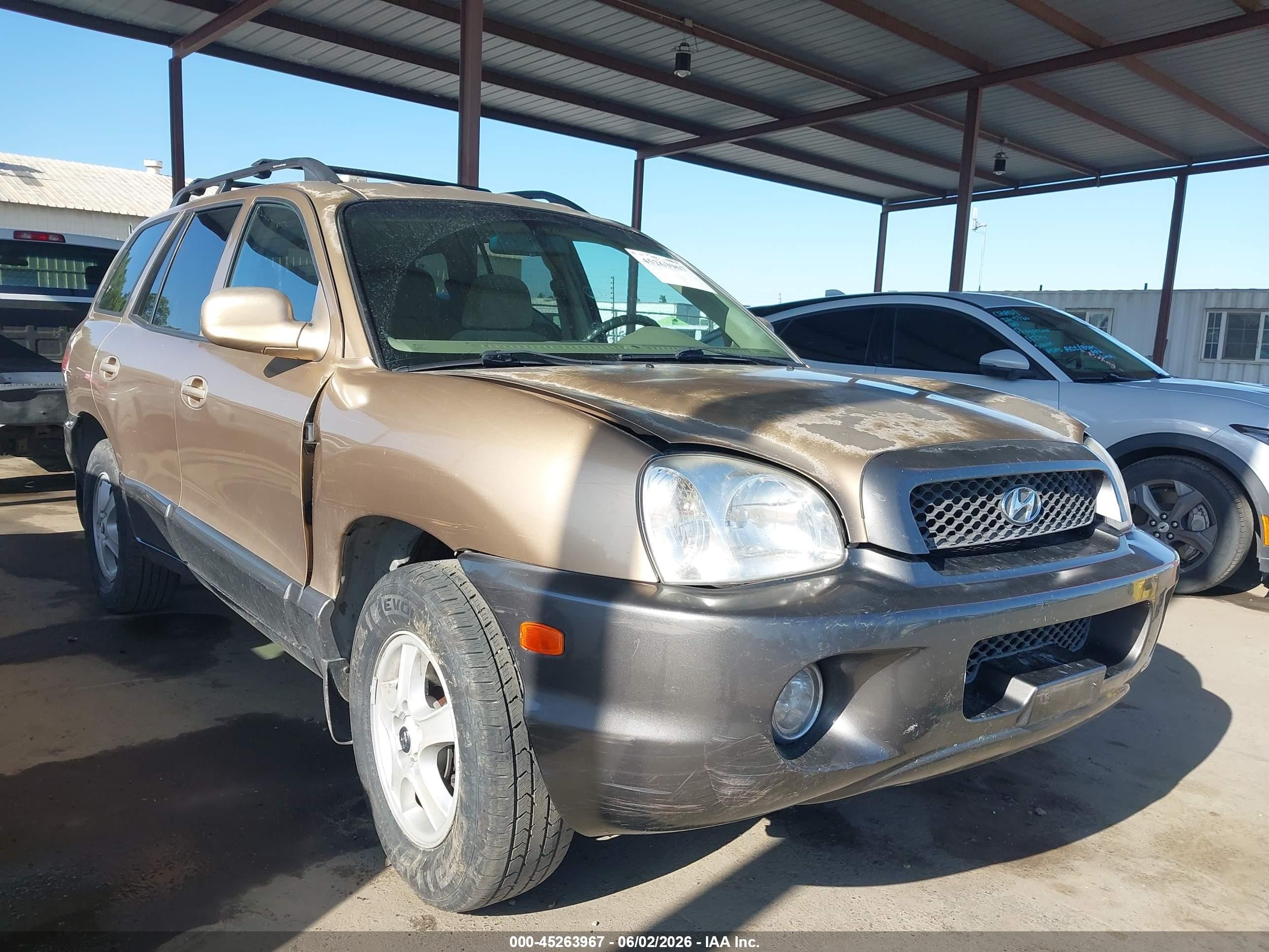 2003 Hyundai Santa Fe Gls/lx Brown vin: KM8SC13D53U405283