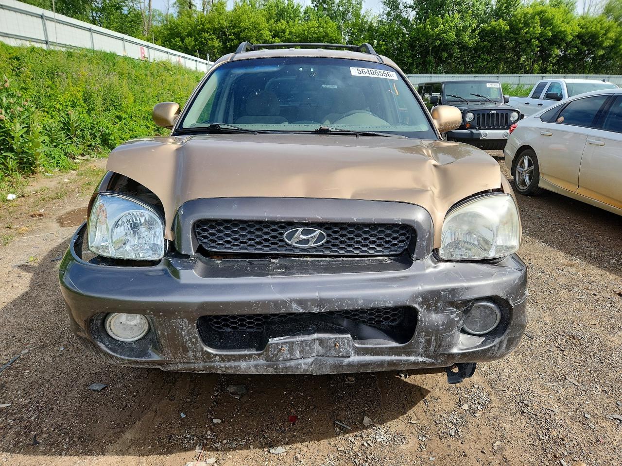 2004 Hyundai Santa Fe Gls Brown vin: KM8SC13D64U854330