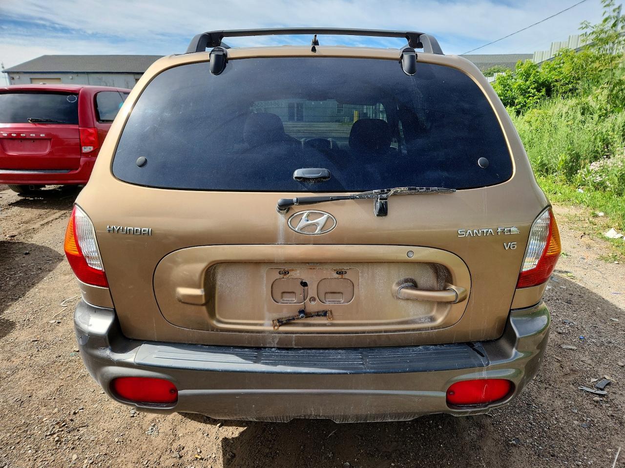 2004 Hyundai Santa Fe Gls Brown vin: KM8SC13D64U854330