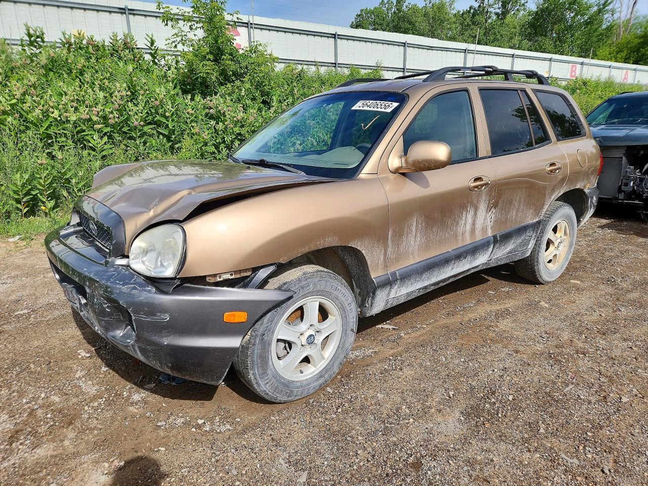 2004 Hyundai Santa Fe Gls Brown vin: KM8SC13D64U854330