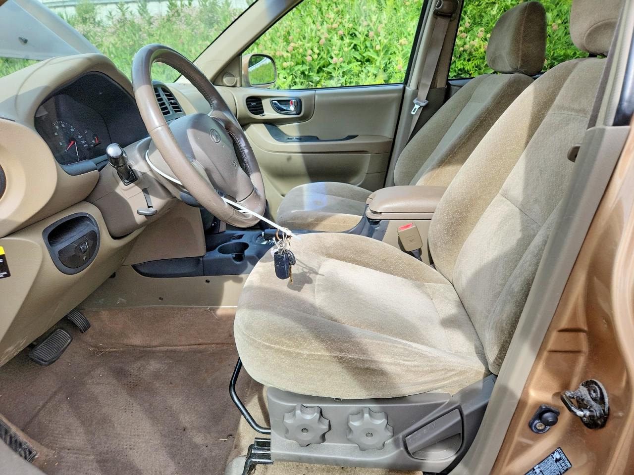 2004 Hyundai Santa Fe Gls Brown vin: KM8SC13D64U854330