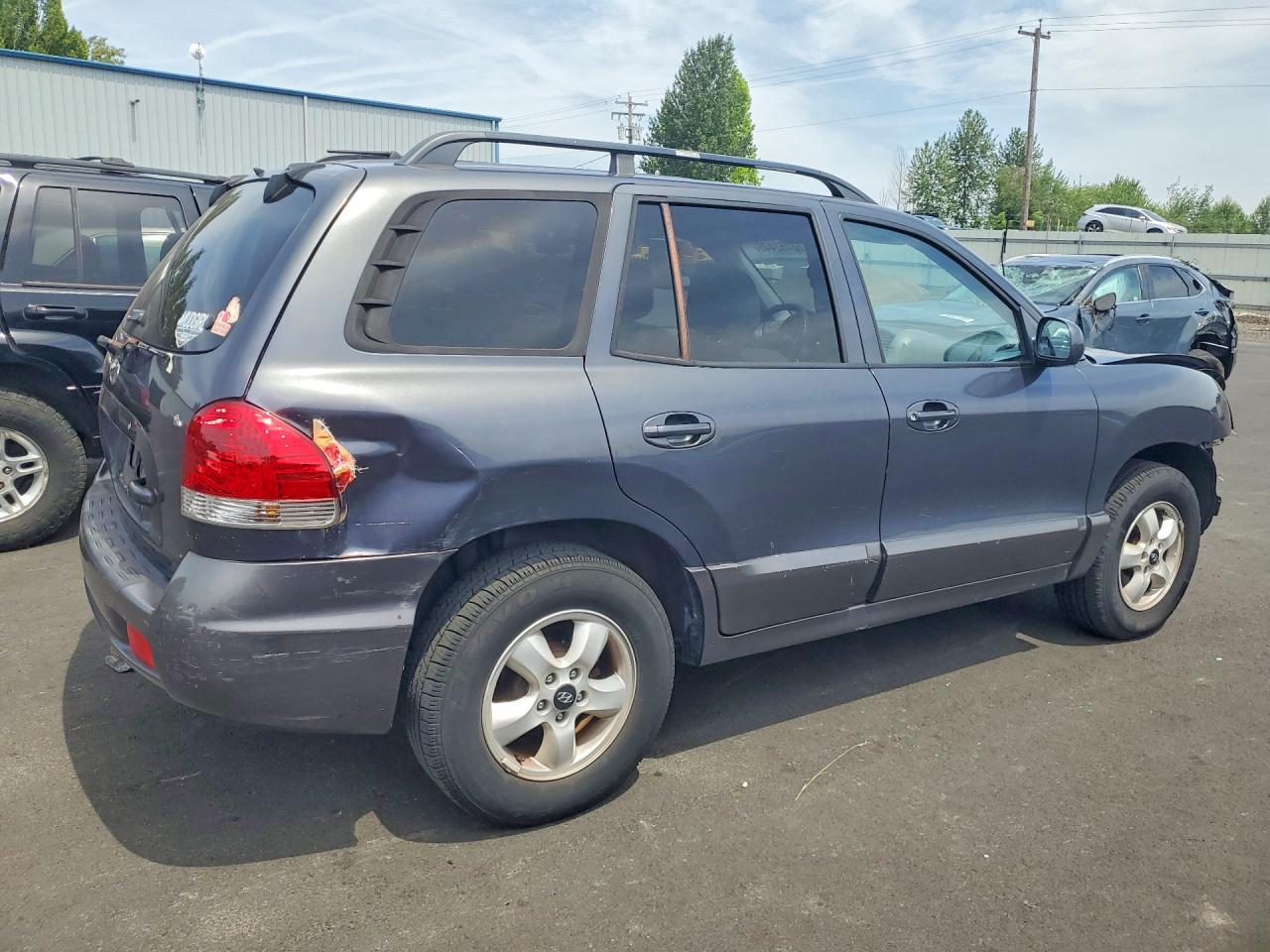2005 Hyundai Santa Fe Gls Gray vin: KM8SC13D65U969267
