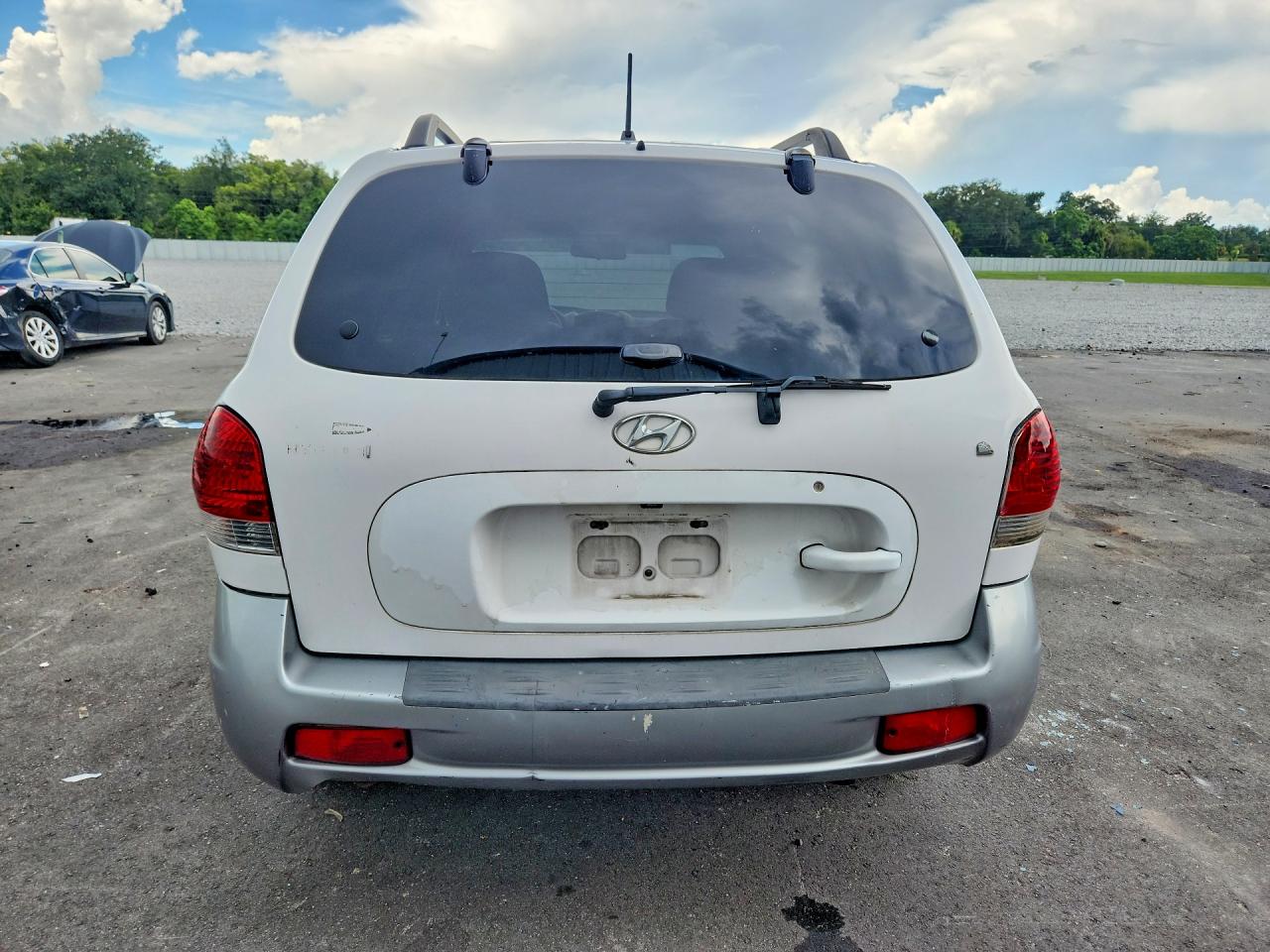 2005 Hyundai Santa Fe Gls White vin: KM8SC13D75U989723