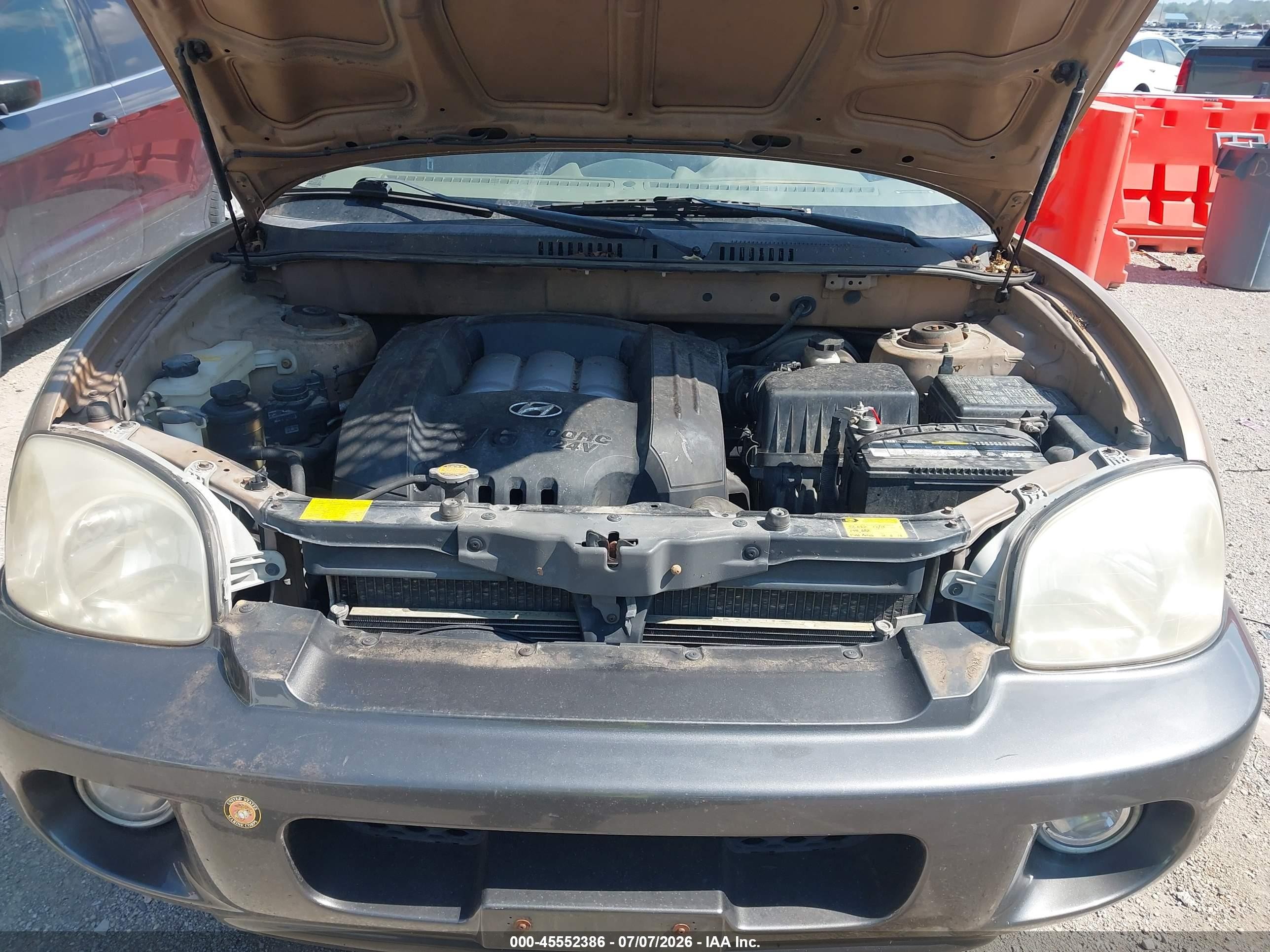 2003 Hyundai Santa Fe Gls/lx Brown vin: KM8SC13D83U374000