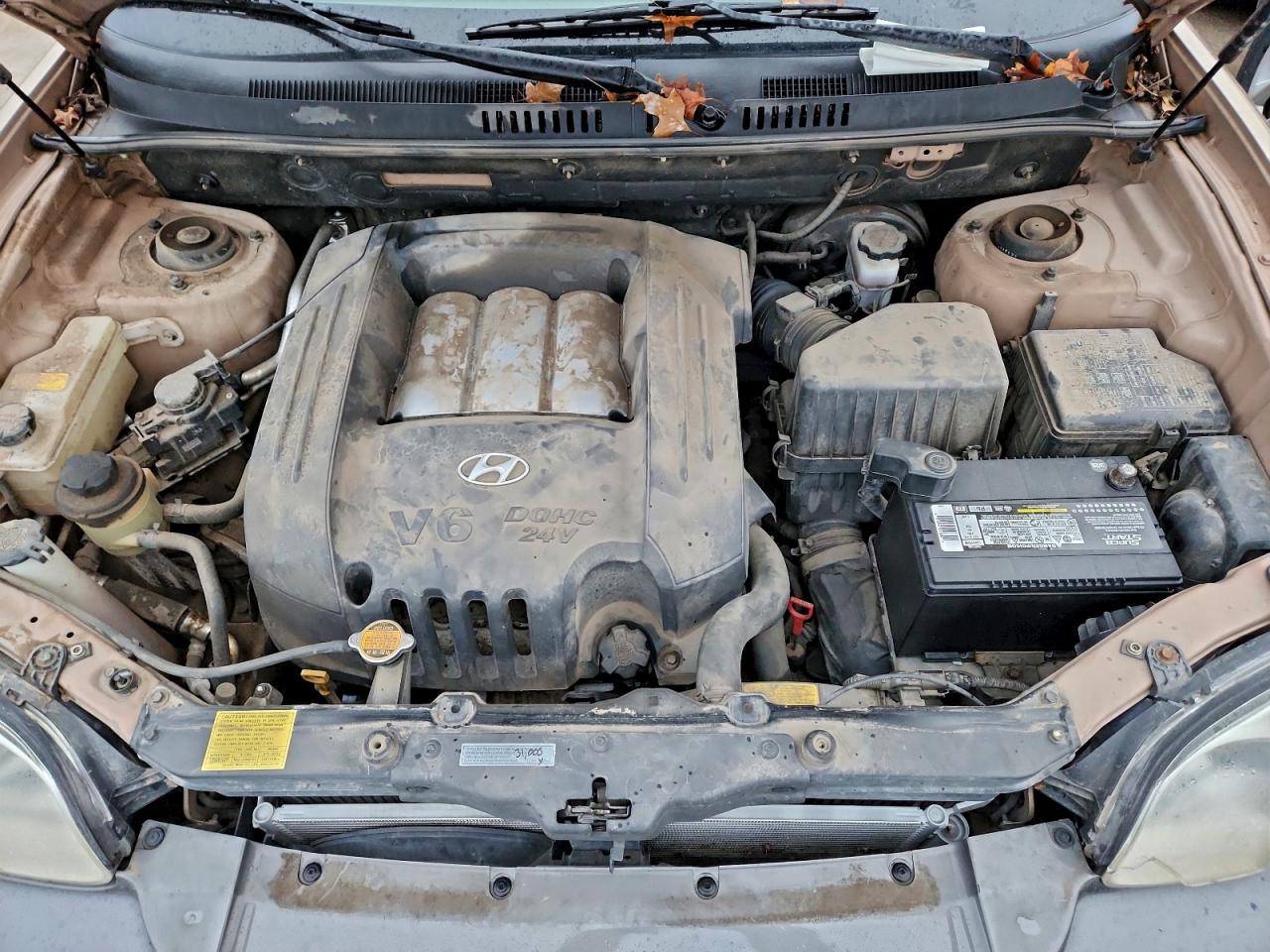 2004 Hyundai Santa Fe Brown vin: KM8SC13D84U570097