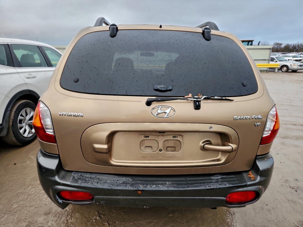 2004 Hyundai Santa Fe Brown vin: KM8SC13D84U570097