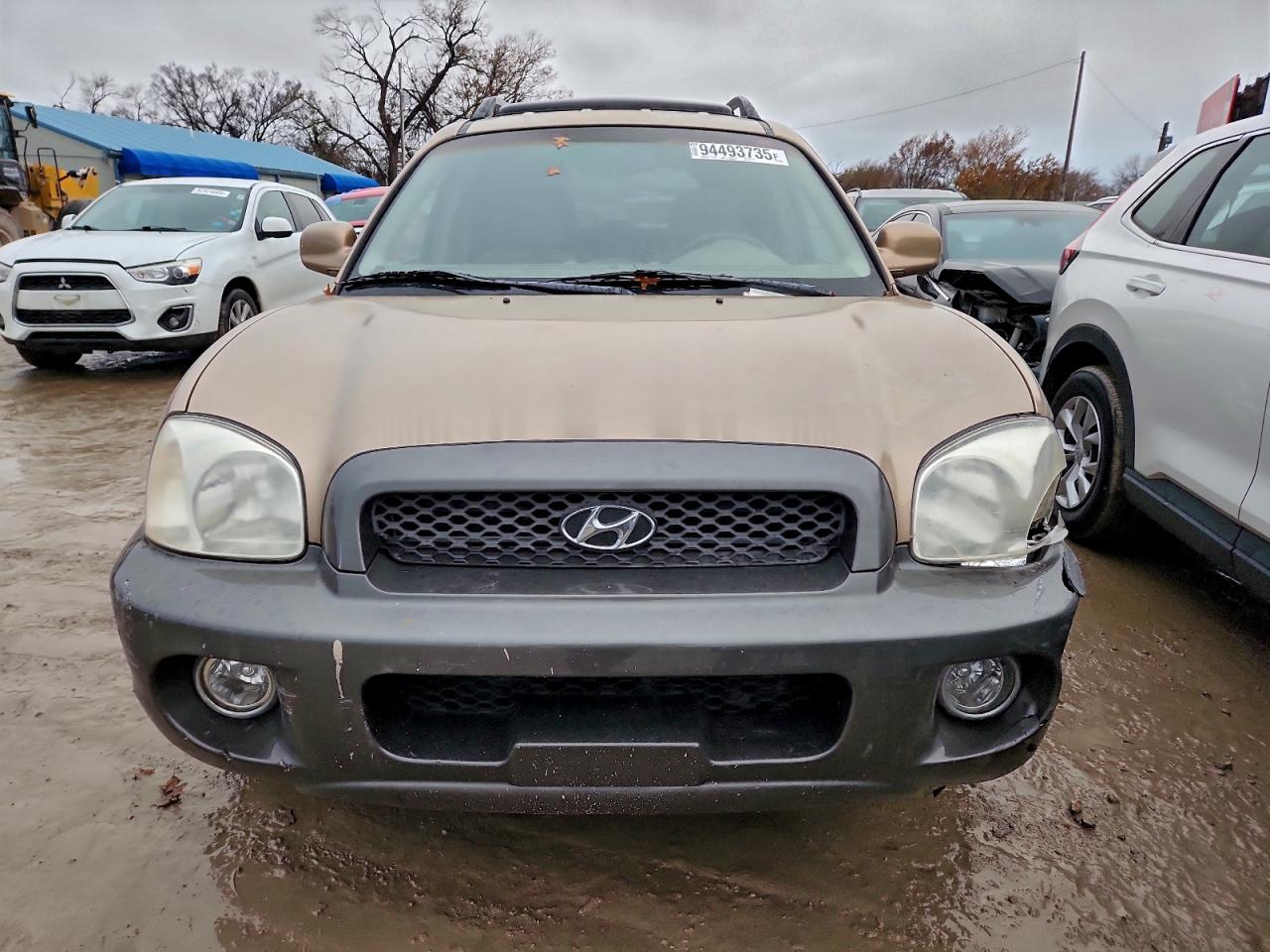 2004 Hyundai Santa Fe Brown vin: KM8SC13D84U570097