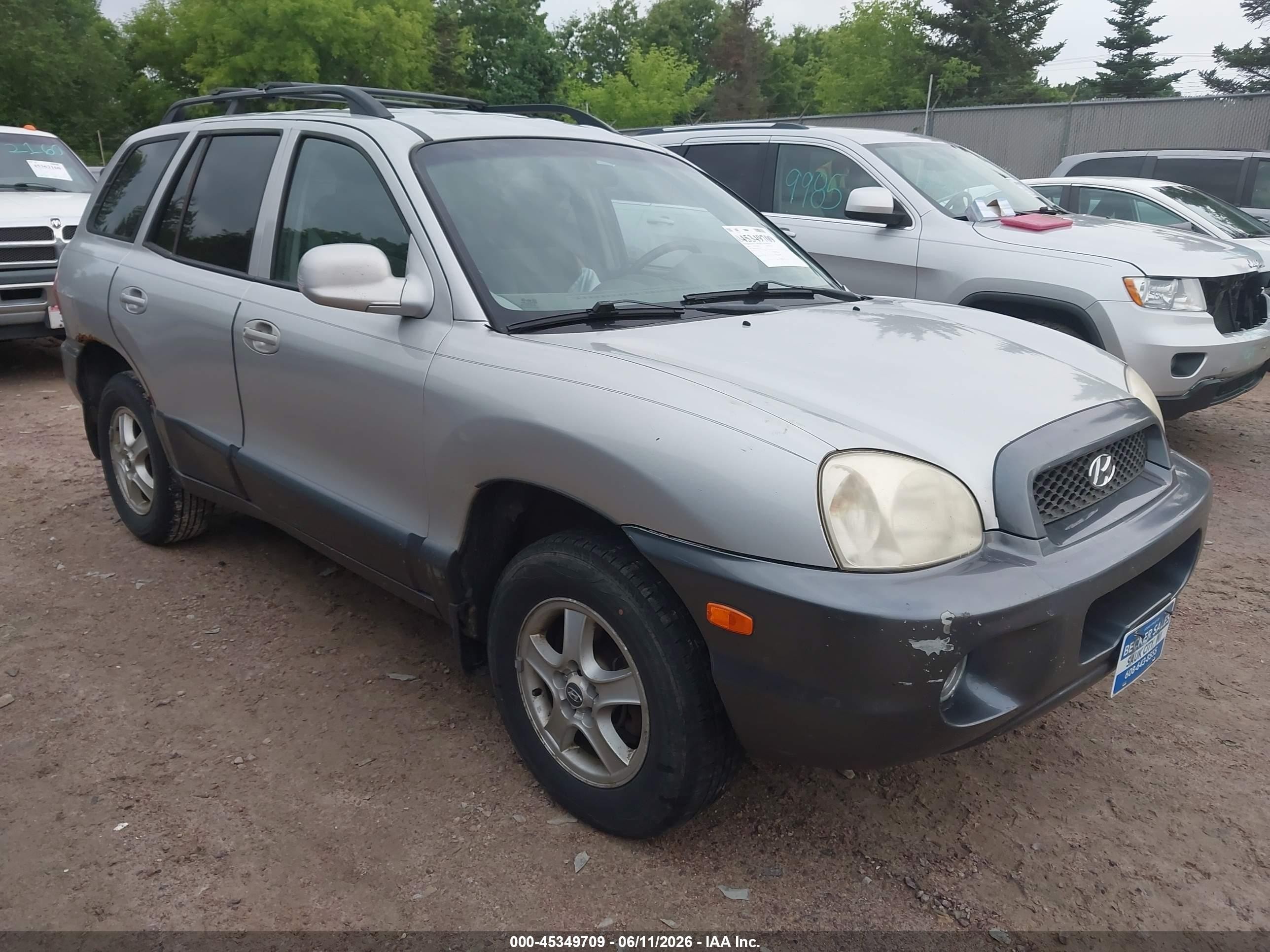 2004 Hyundai Santa Fe Gls Silver vin: KM8SC13D84U648393