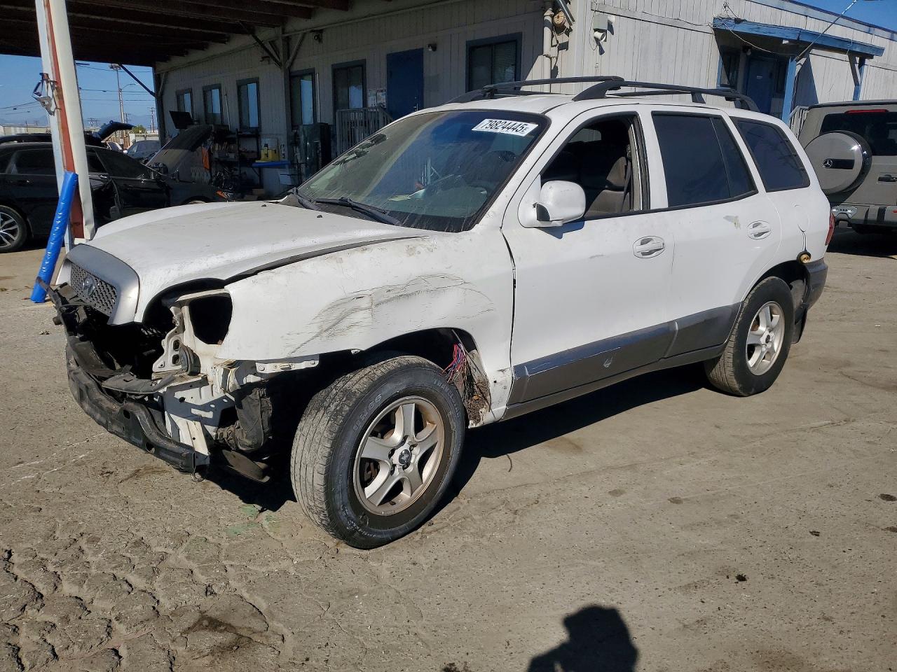 2003 Hyundai Santa Fe Gls White vin: KM8SC13D93U439789