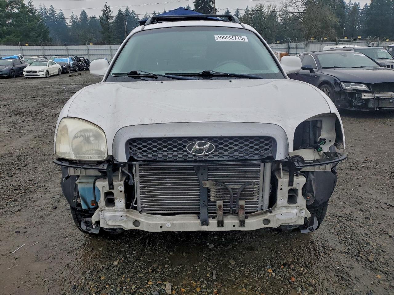 2003 Hyundai Santa Fe Gls White vin: KM8SC13D93U489561