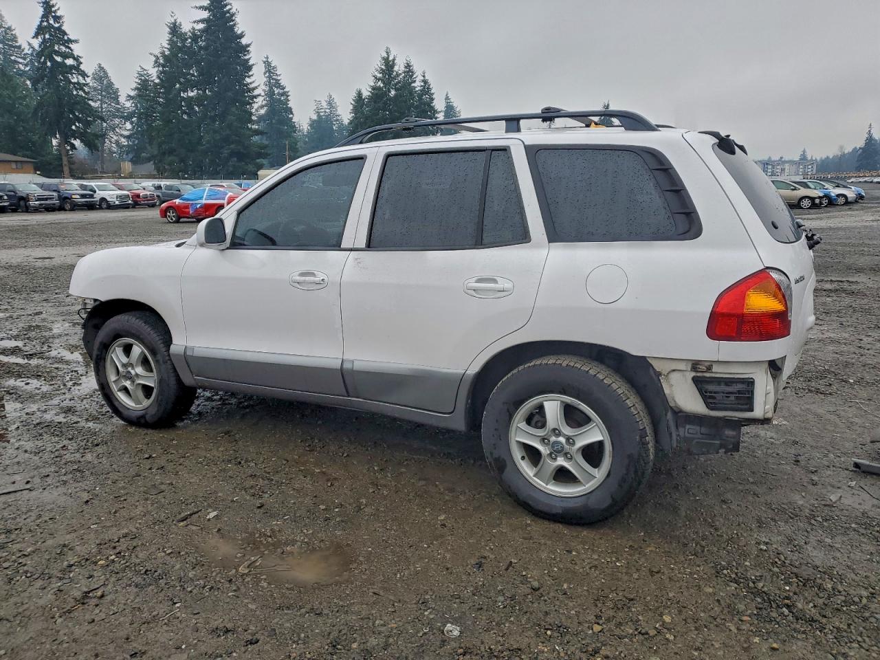 2003 Hyundai Santa Fe Gls White vin: KM8SC13D93U489561