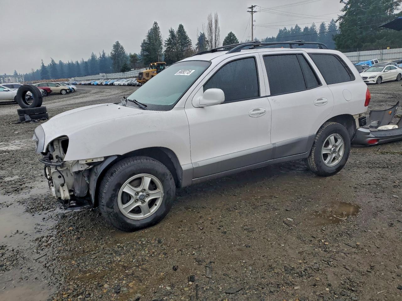 2003 Hyundai Santa Fe Gls White vin: KM8SC13D93U489561
