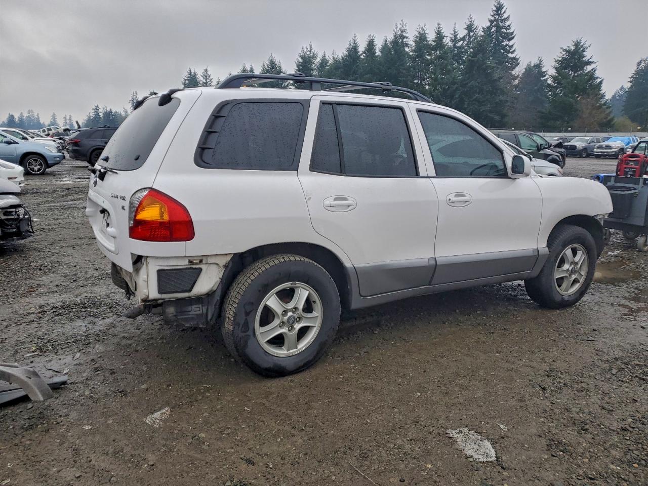 2003 Hyundai Santa Fe Gls White vin: KM8SC13D93U489561