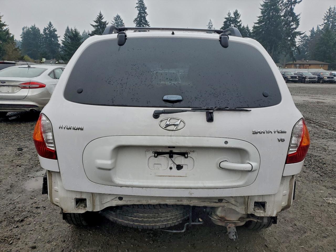 2003 Hyundai Santa Fe Gls White vin: KM8SC13D93U489561