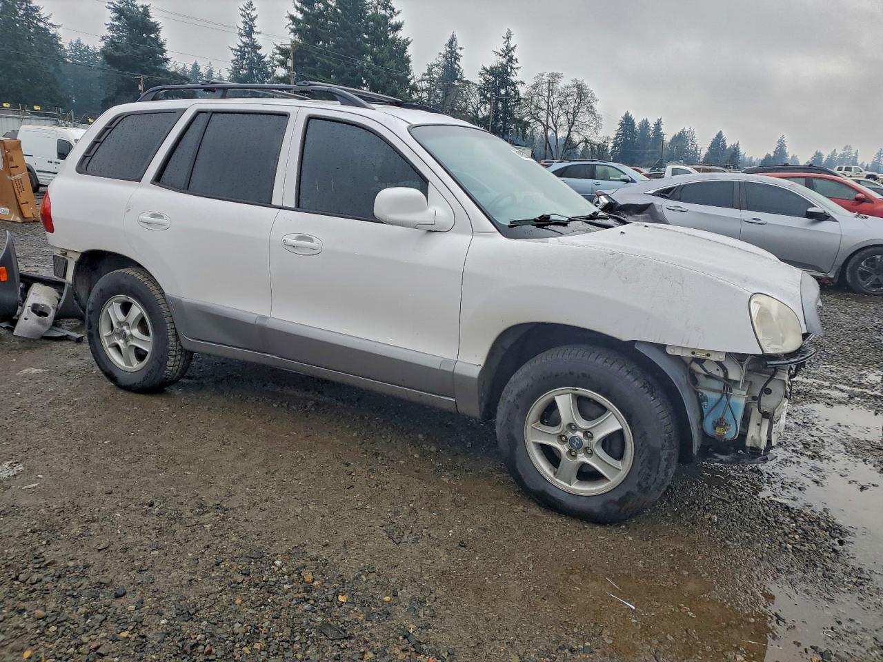 2003 Hyundai Santa Fe Gls White vin: KM8SC13D93U489561