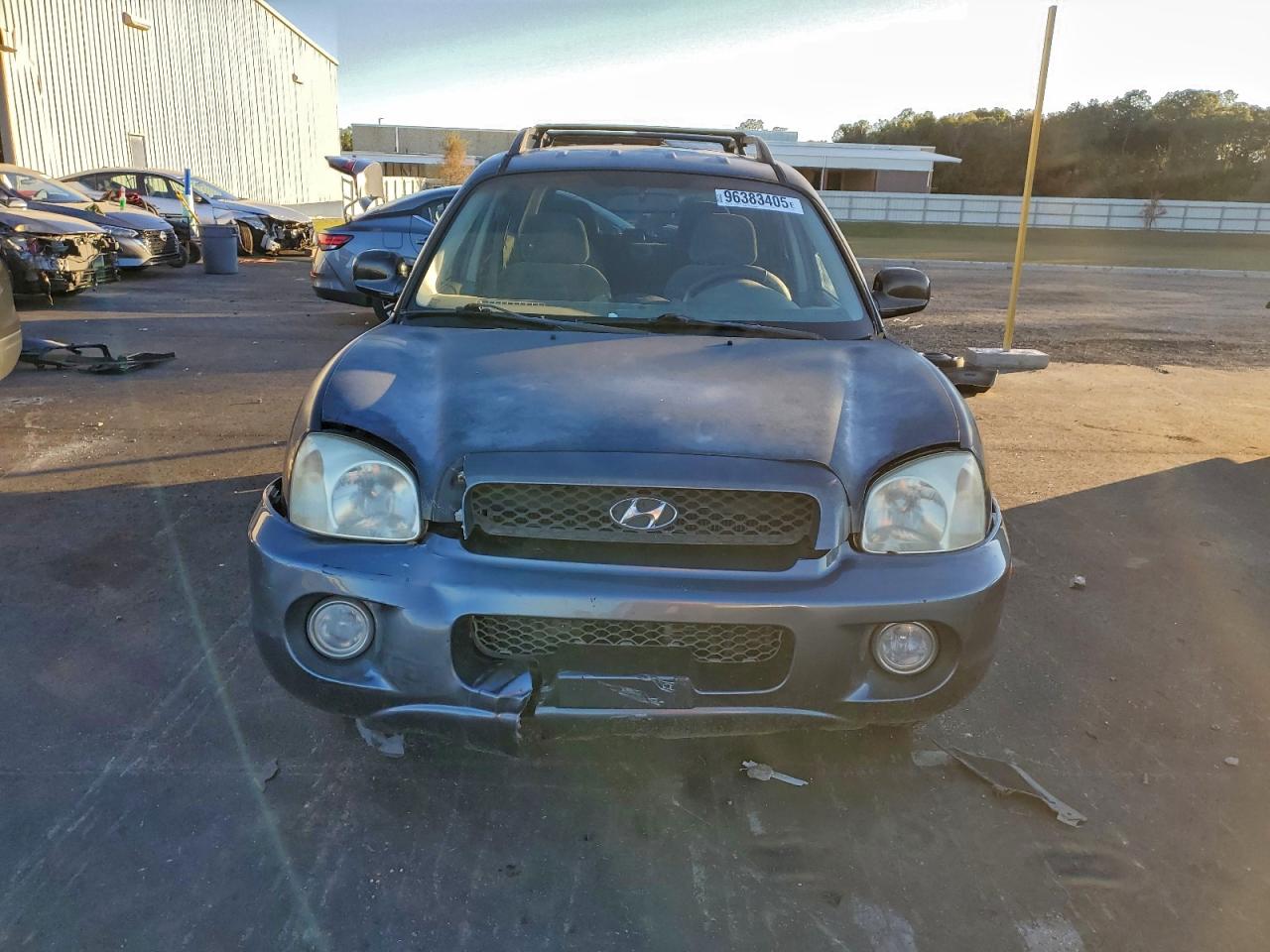 2004 Hyundai Santa Fe Gls Black vin: KM8SC13D94U699501