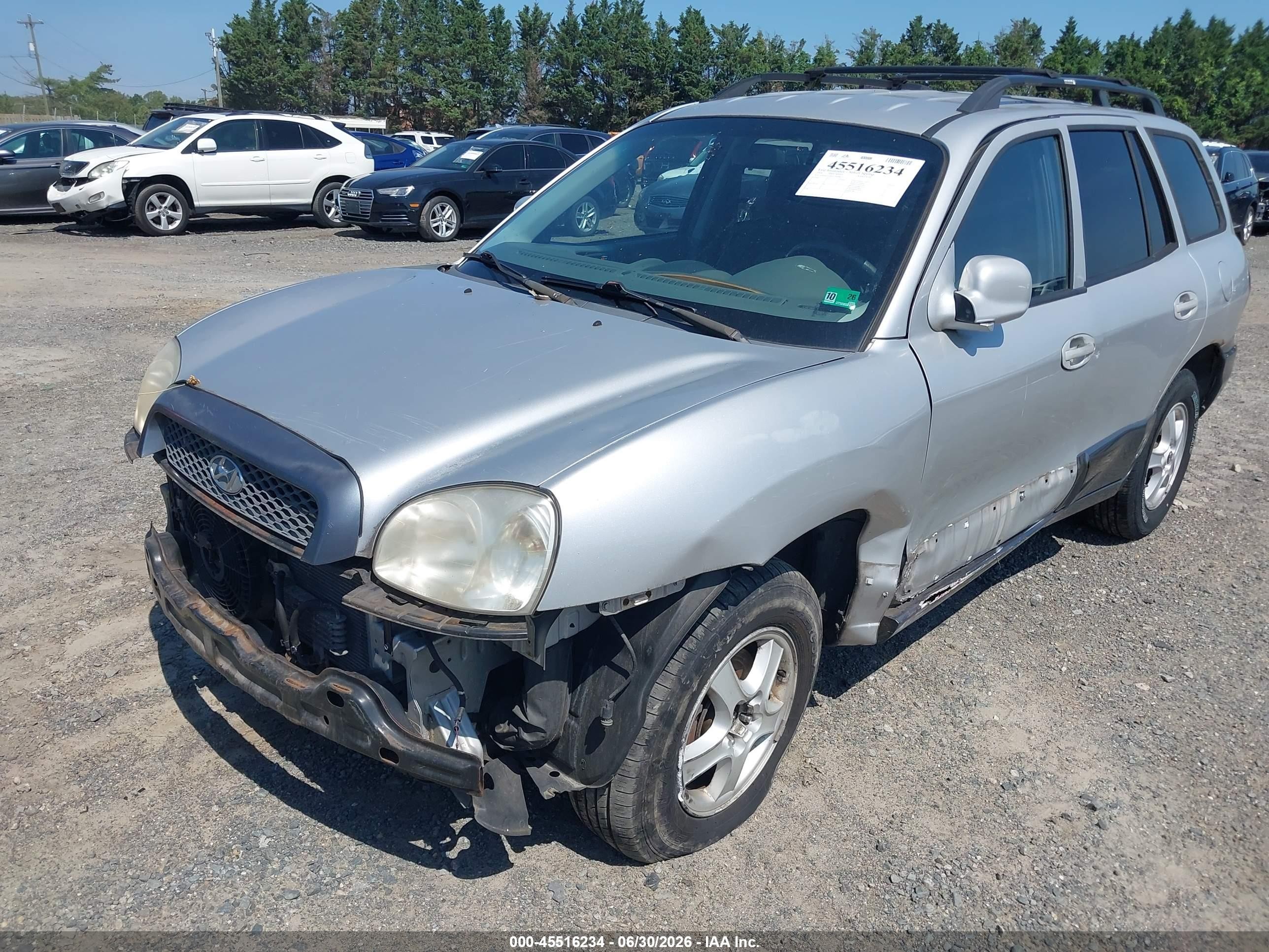 2004 Hyundai Santa Fe Gls Silver vin: KM8SC13D94U746008