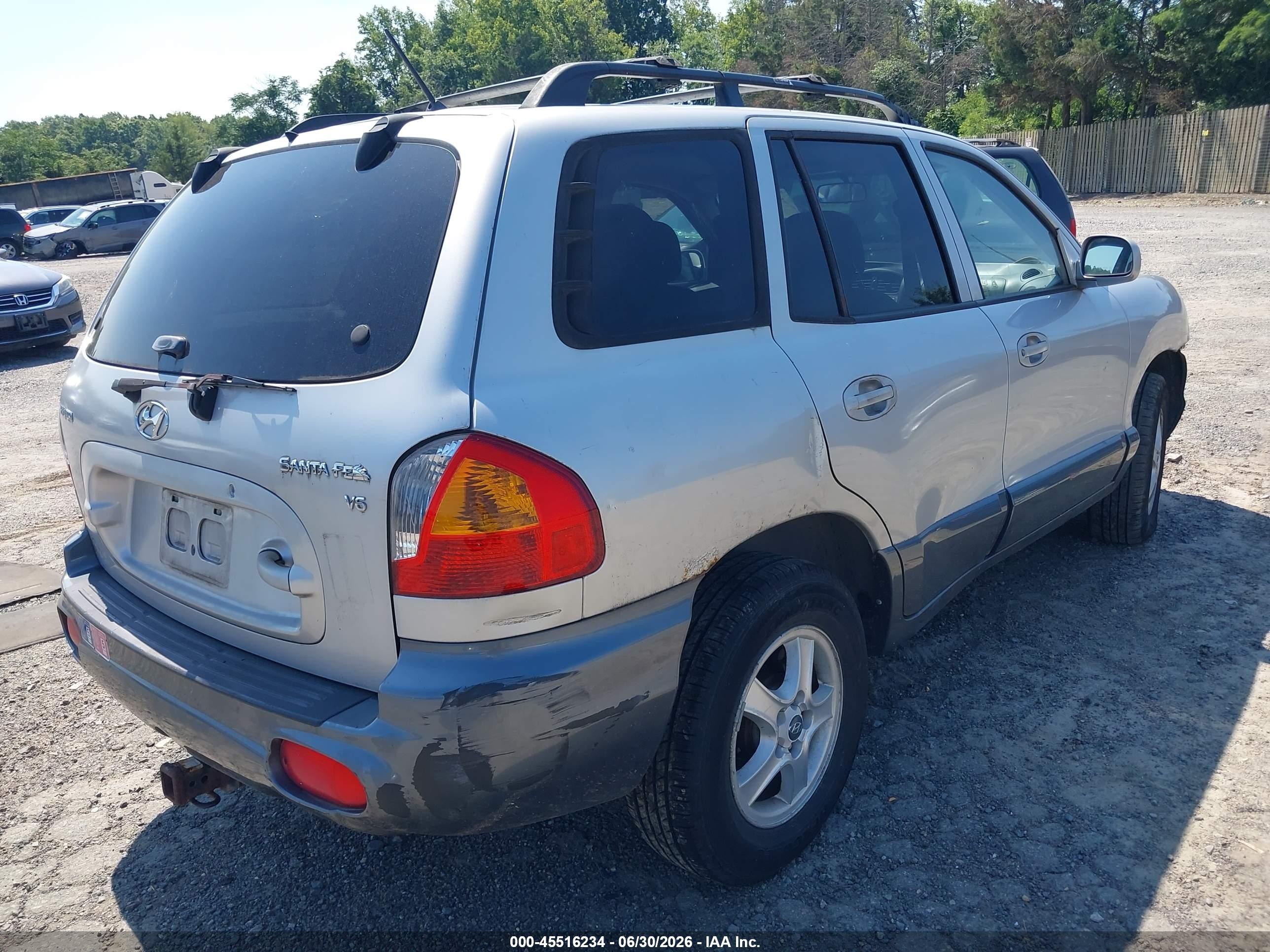 2004 Hyundai Santa Fe Gls Silver vin: KM8SC13D94U746008