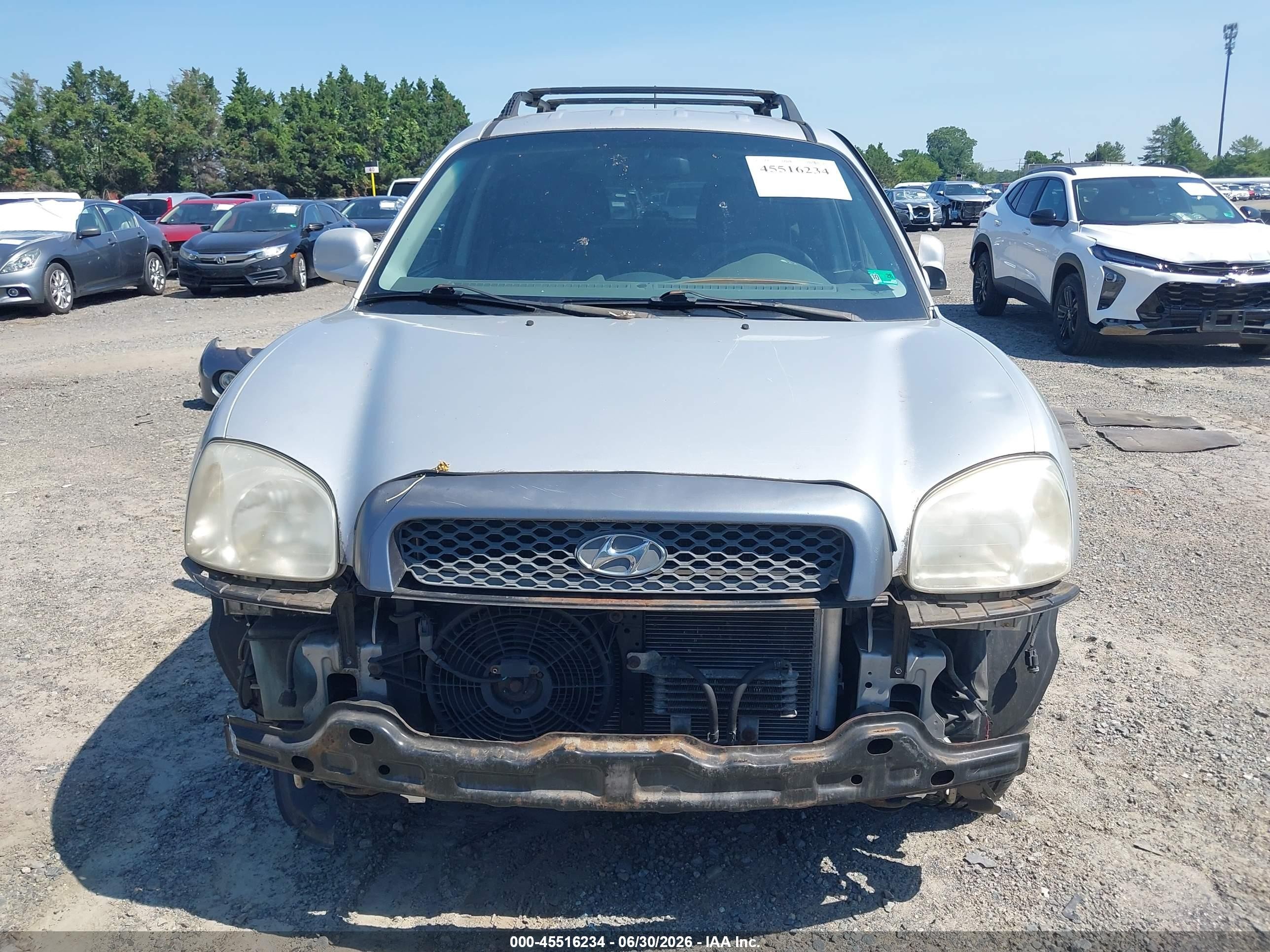 2004 Hyundai Santa Fe Gls Silver vin: KM8SC13D94U746008
