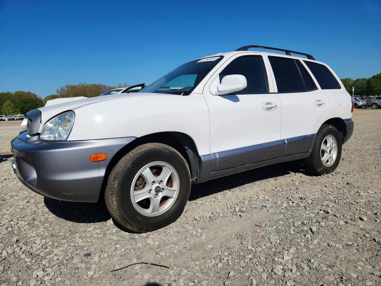 2003 Hyundai Santa Fe Gls White vin: KM8SC13DX3U426856