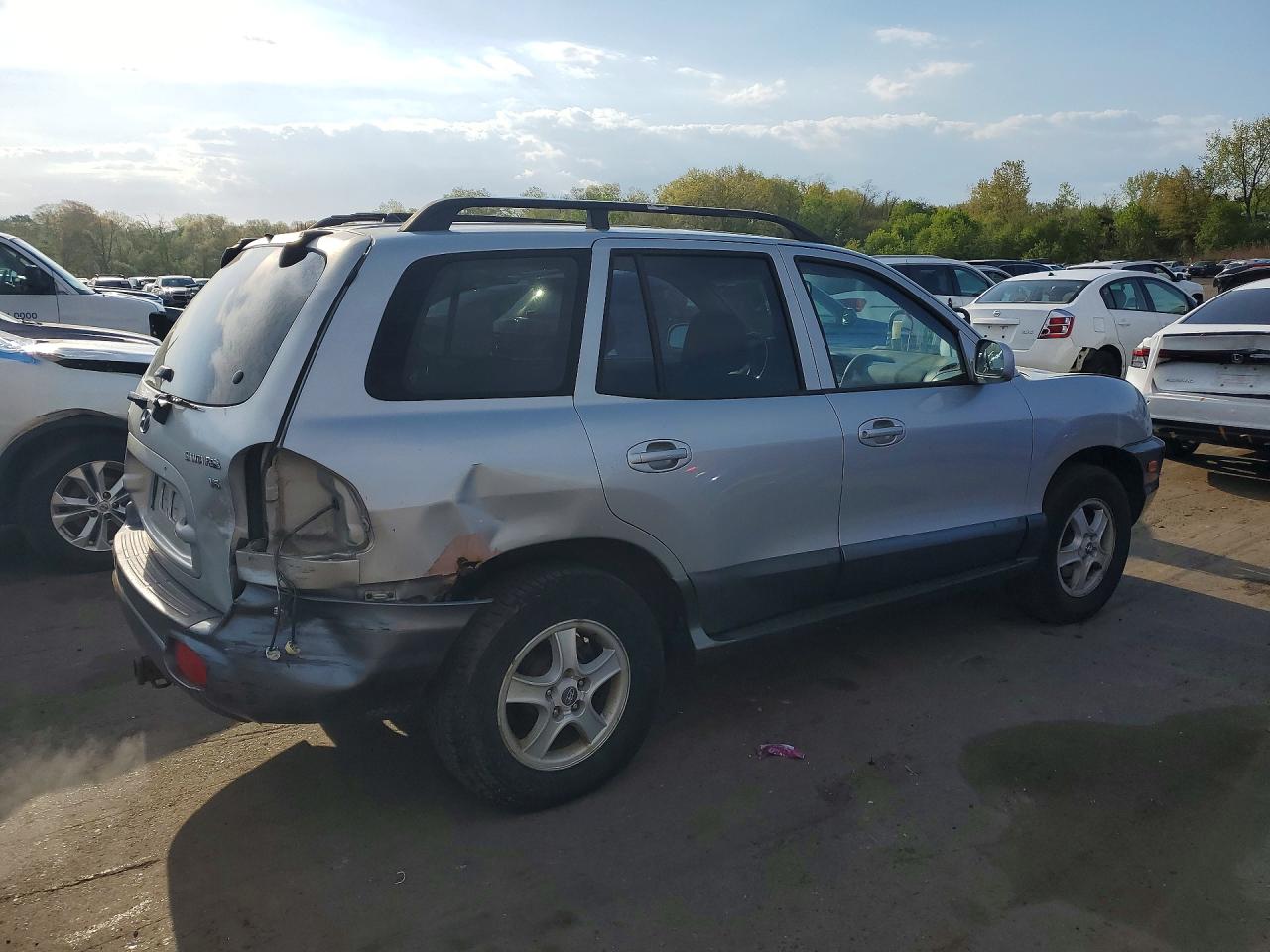 2004 Hyundai Santa Fe Gls Silver vin: KM8SC13DX4U727094