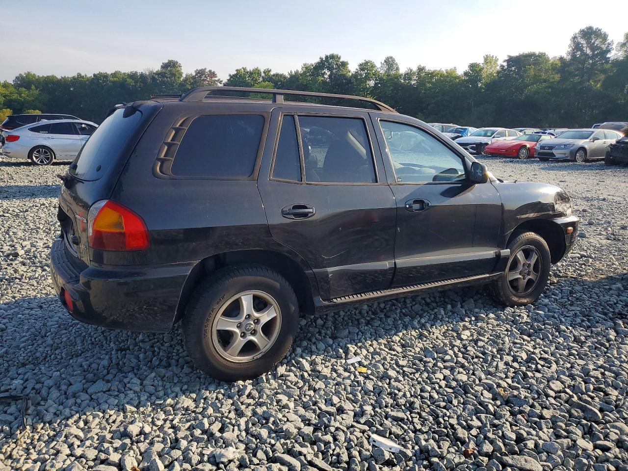 2004 Hyundai Santa Fe Gls Black vin: KM8SC13DX4U769409