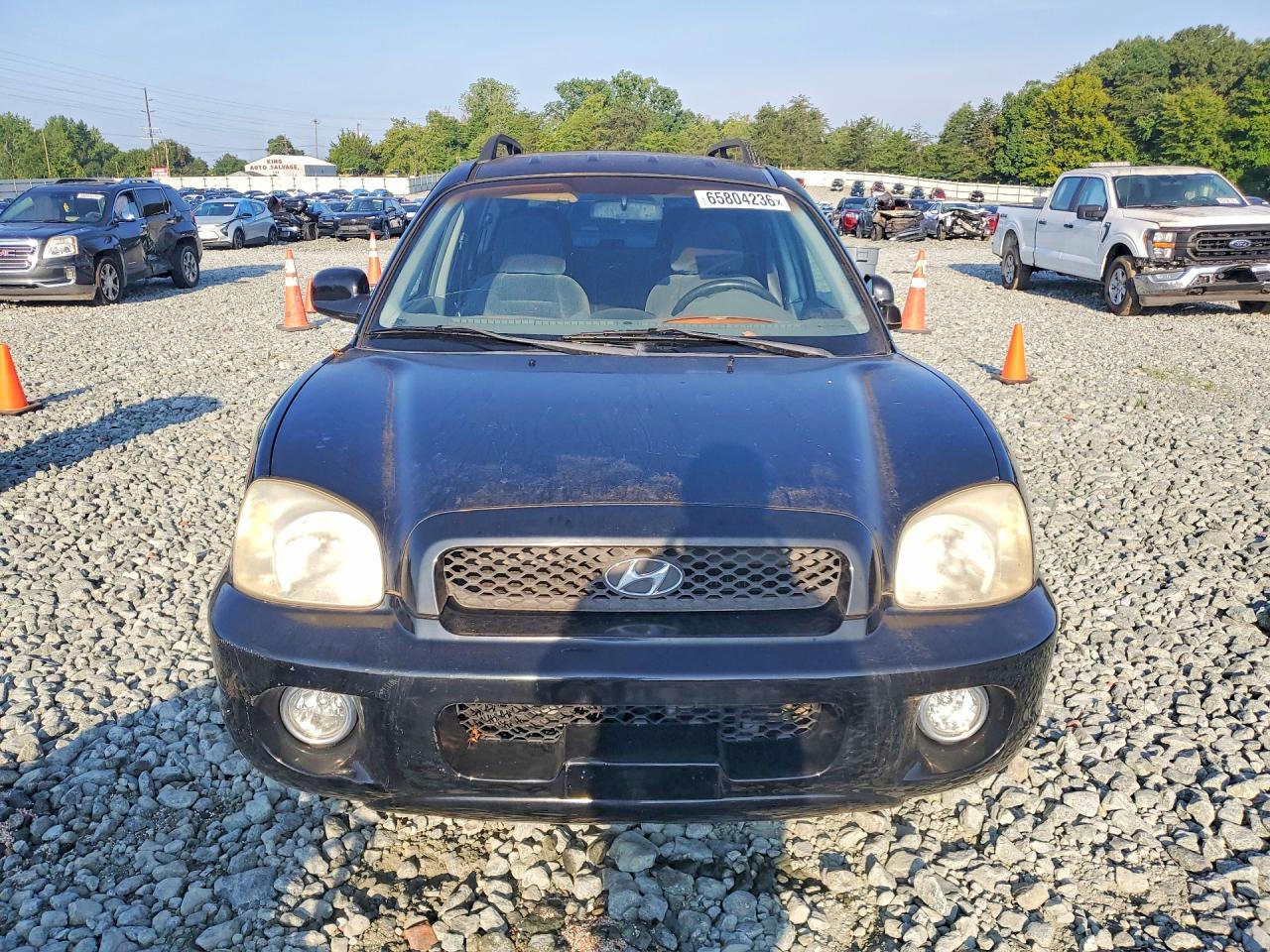 2004 Hyundai Santa Fe Gls Black vin: KM8SC13DX4U769409