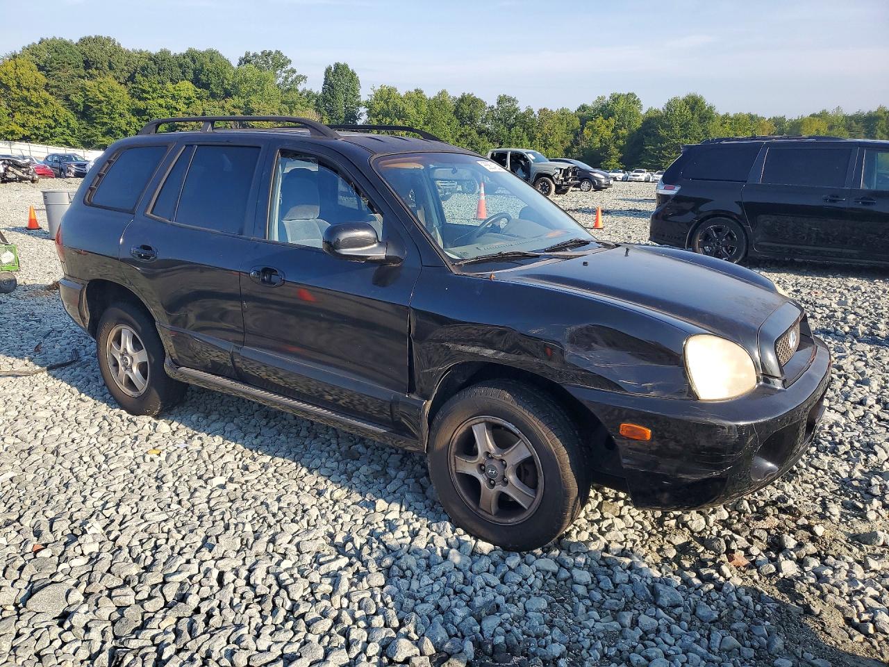 2004 Hyundai Santa Fe Gls Black vin: KM8SC13DX4U769409