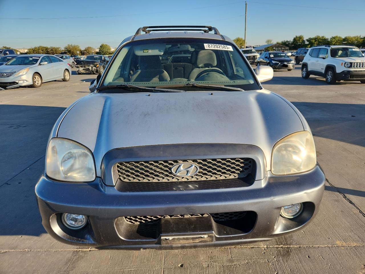 2003 Hyundai Santa Fe Gls Silver vin: KM8SC13E13U460984