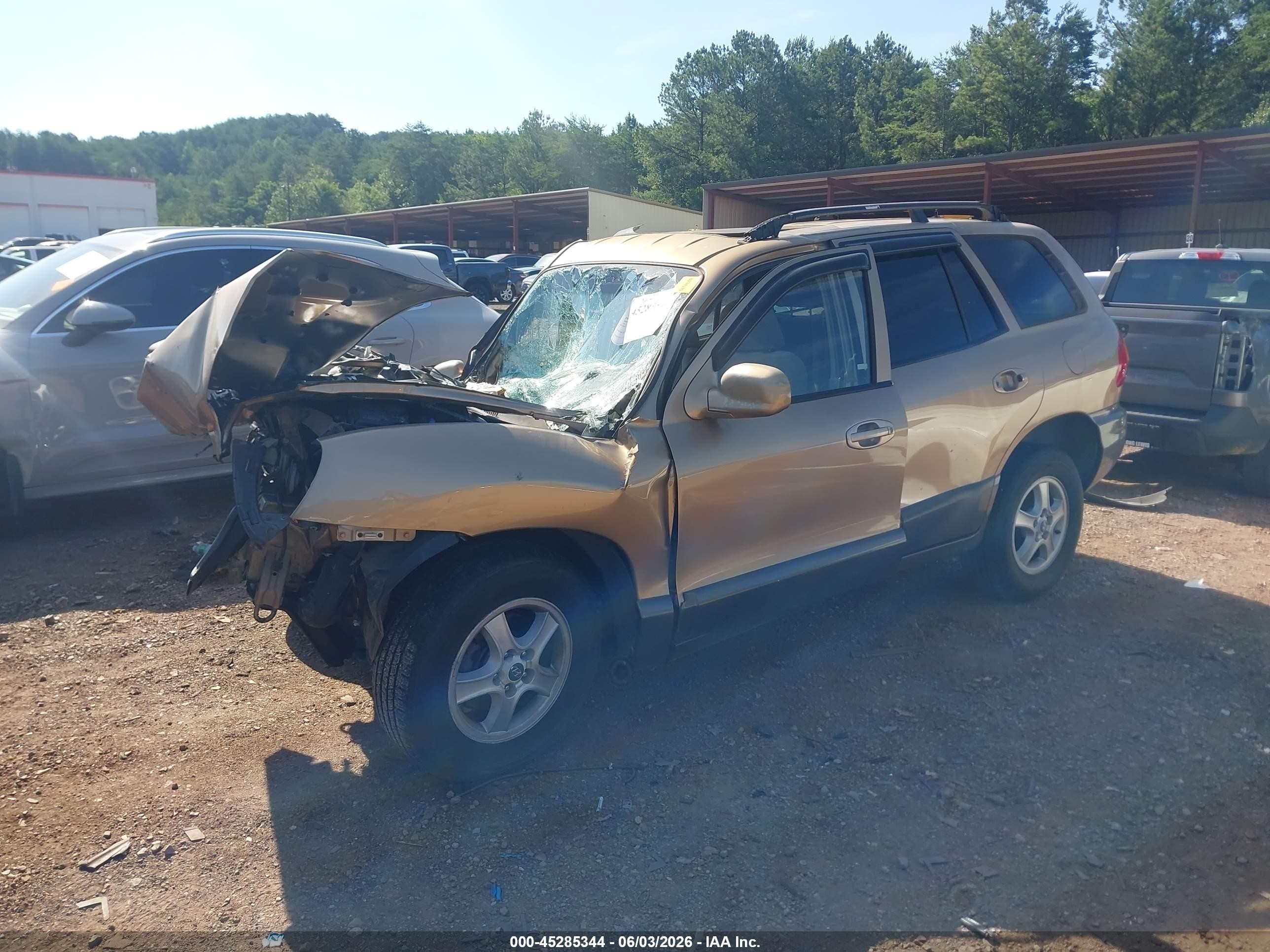 2004 Hyundai Santa Fe Gls/lx Gold vin: KM8SC13E54U616090
