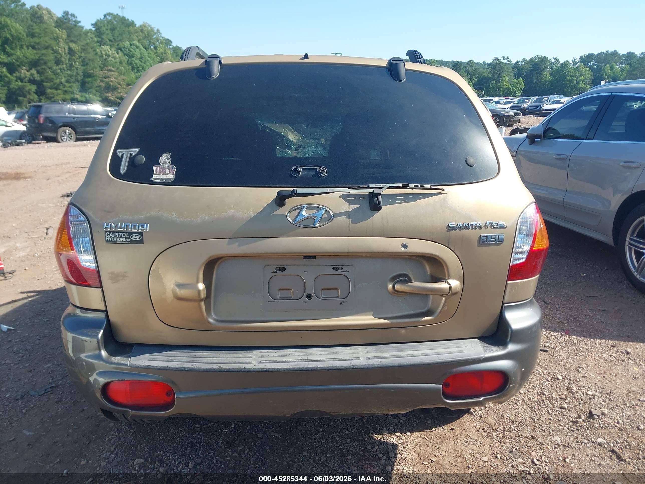 2004 Hyundai Santa Fe Gls/lx Gold vin: KM8SC13E54U616090