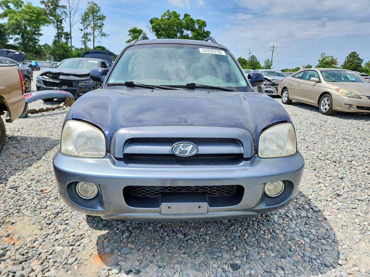 2005 Hyundai Santa Fe Gls Blue vin: KM8SC13E65U877827