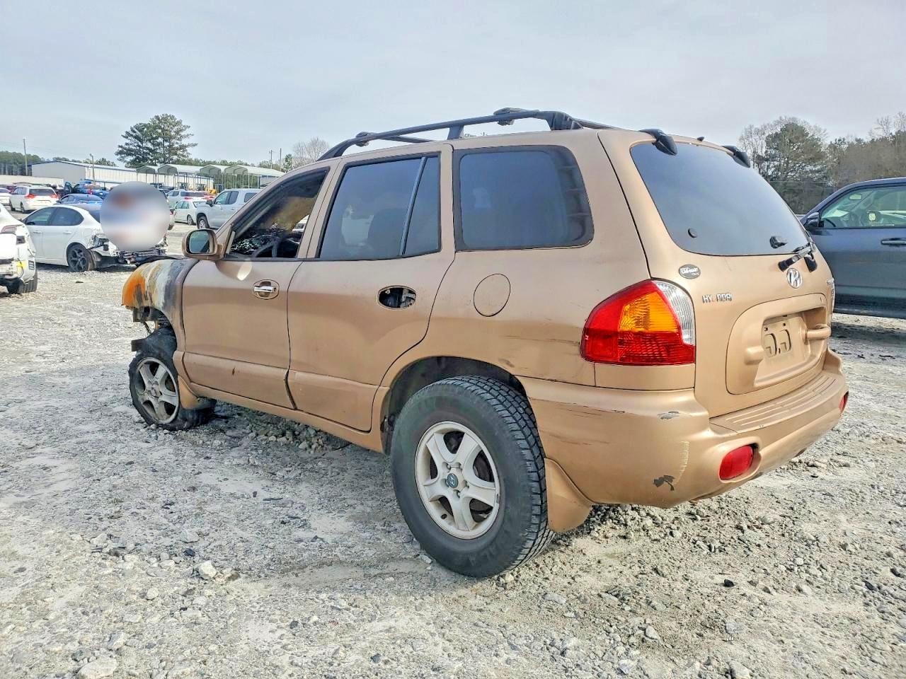 2004 Hyundai Santa Fe Gls Burn vin: KM8SC13E74U612882