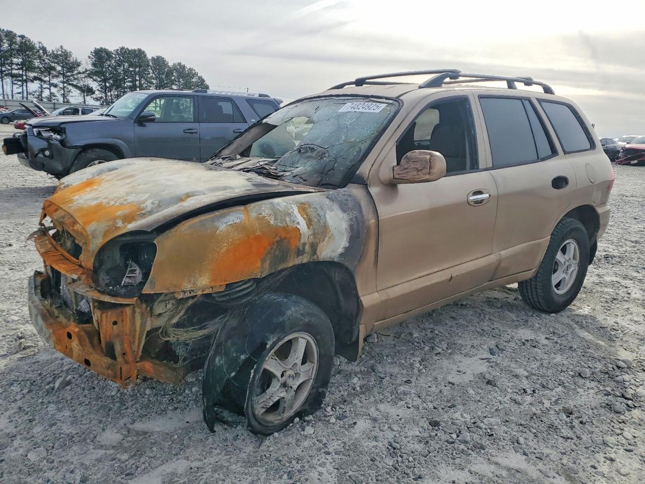 2004 Hyundai Santa Fe Gls Пожар vin: KM8SC13E74U612882