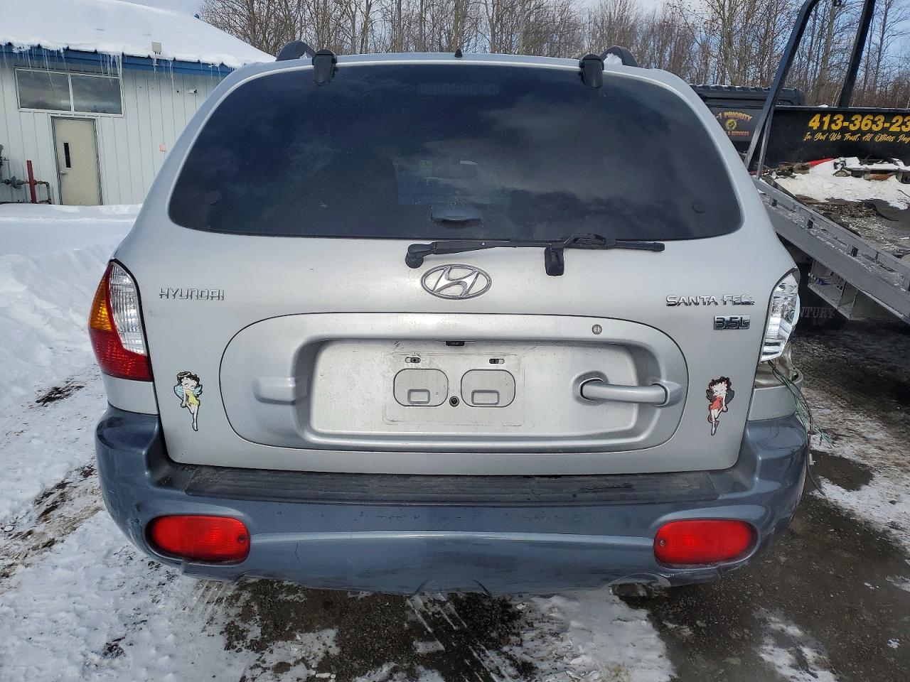 2004 Hyundai Santa Fe Gls Silver vin: KM8SC13EX4U611385
