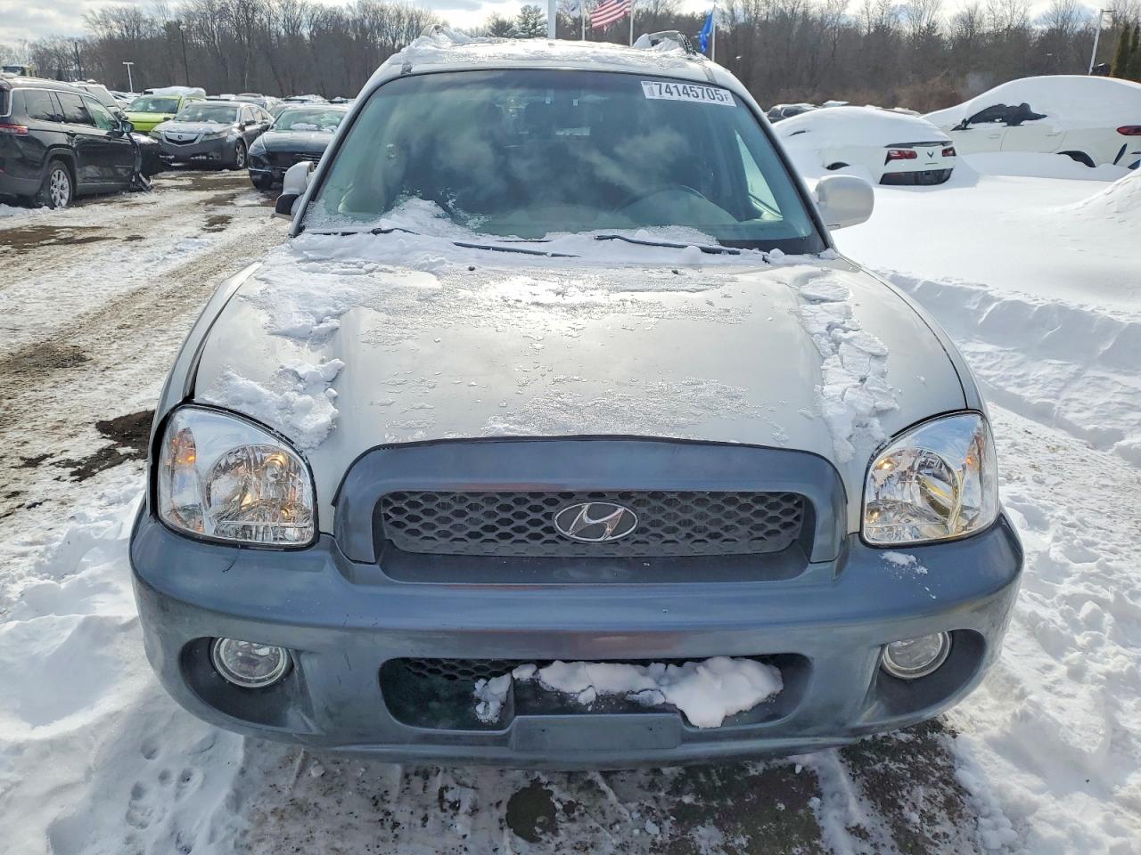 2004 Hyundai Santa Fe Gls Silver vin: KM8SC13EX4U611385