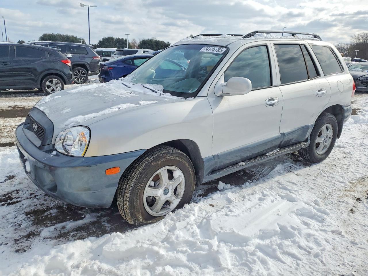 2004 Hyundai Santa Fe Gls Silver vin: KM8SC13EX4U611385