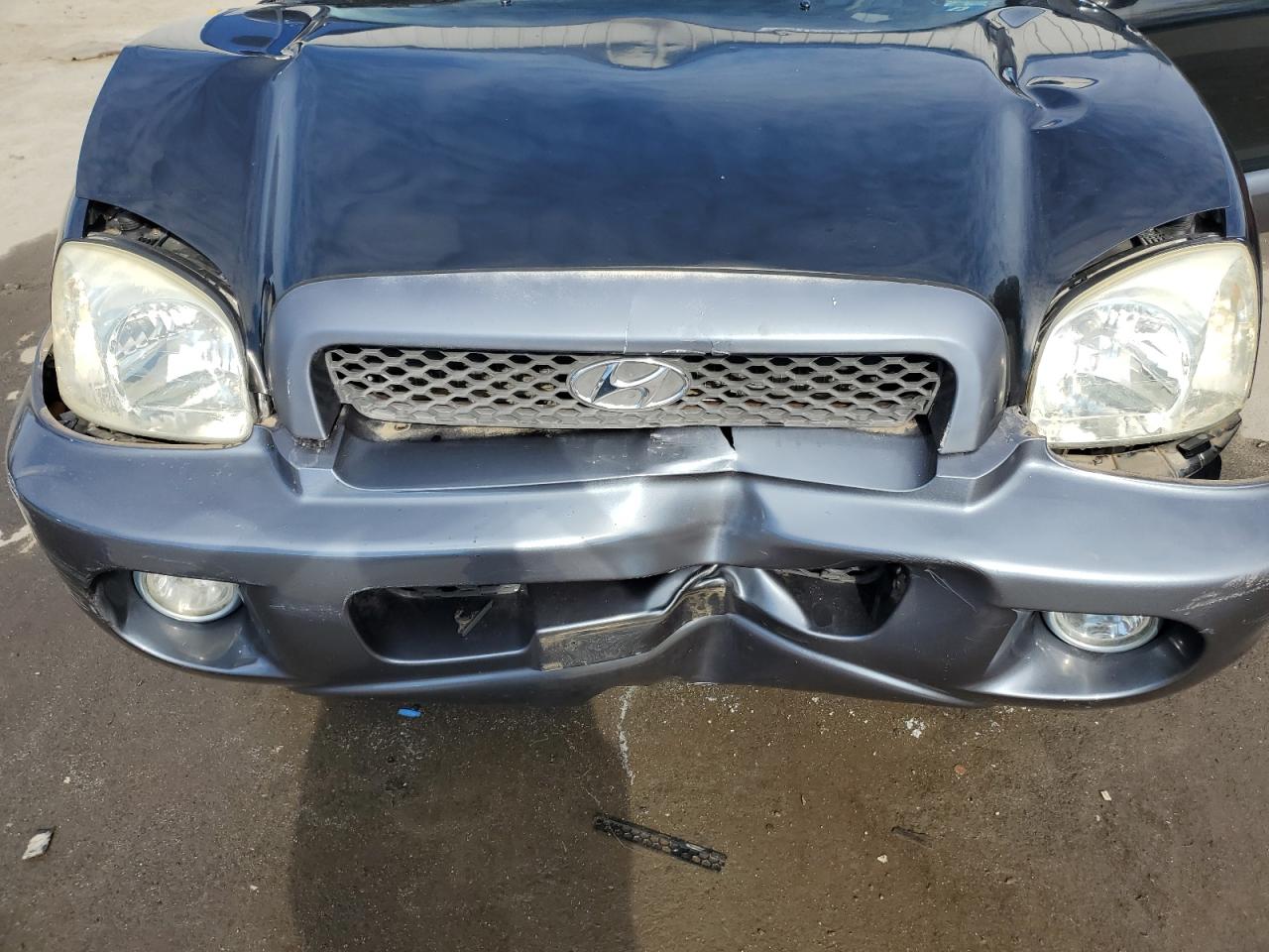 2003 Hyundai Santa Fe Gls Black vin: KM8SC73D03U536463